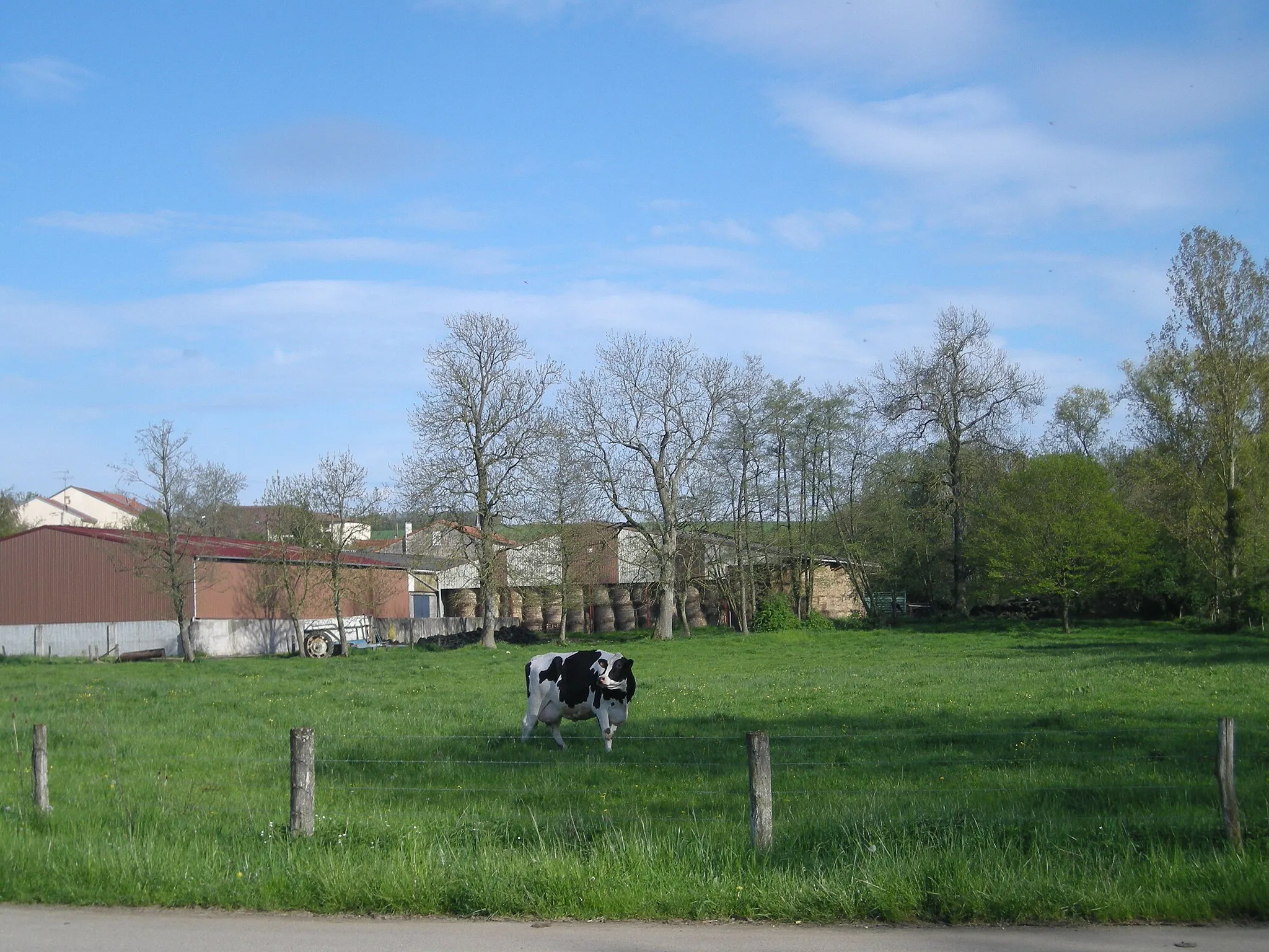 Photo showing: La place de l'élevage à Bralleville (Meurthe-et-Moselle)