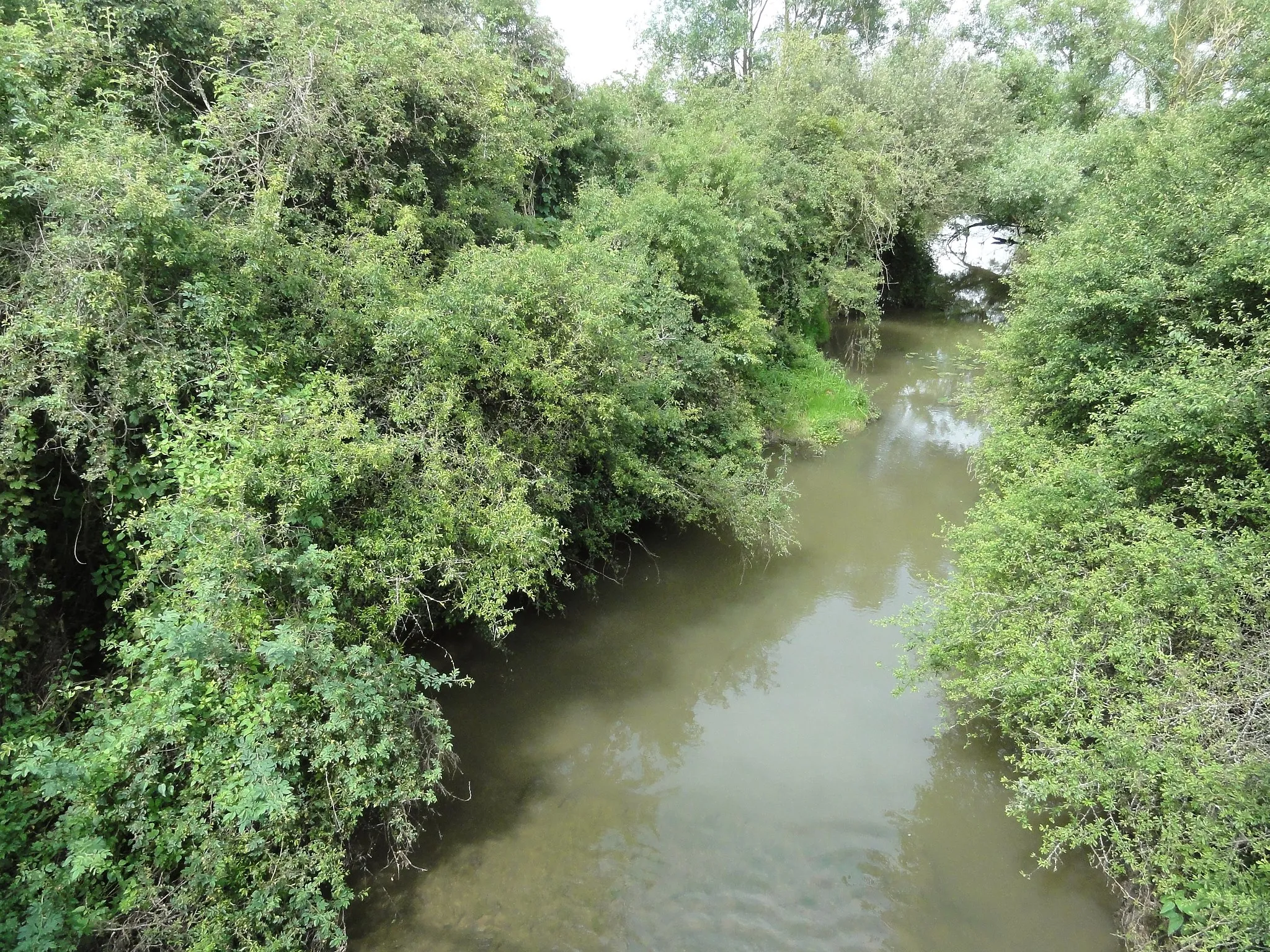 Photo showing: Buissoncourt (M-et-M) la Roanne