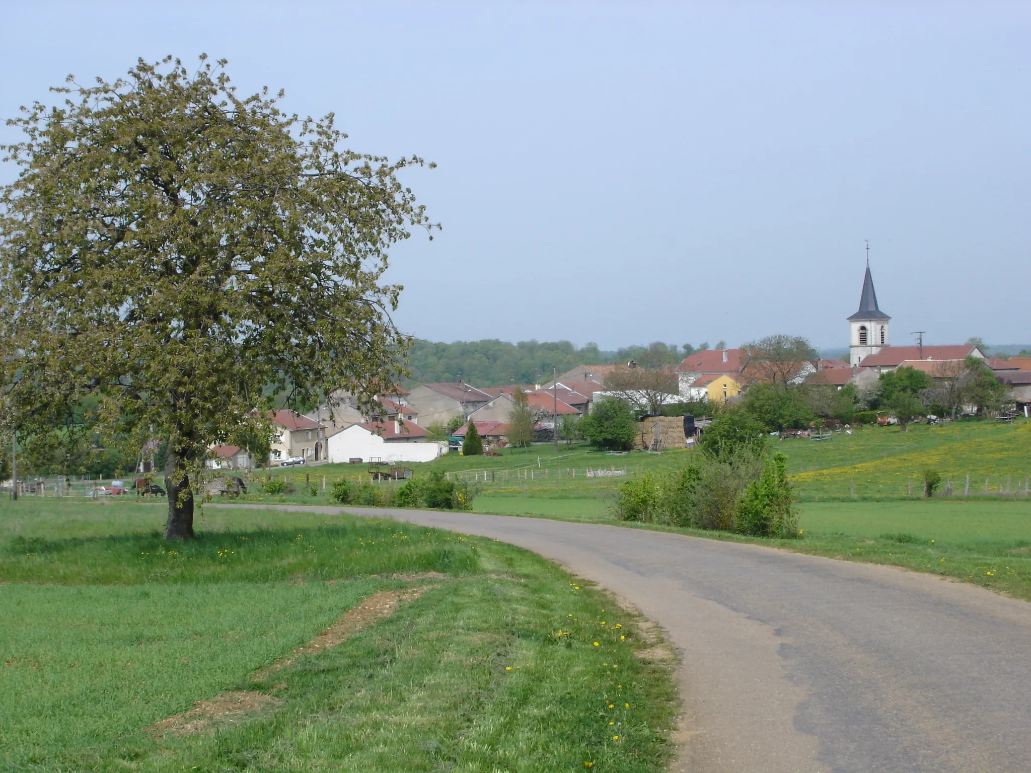 Photo showing: Le village de Rogéville, en Meurthe-et-Moselle -- Photo amateur prise par moi-même