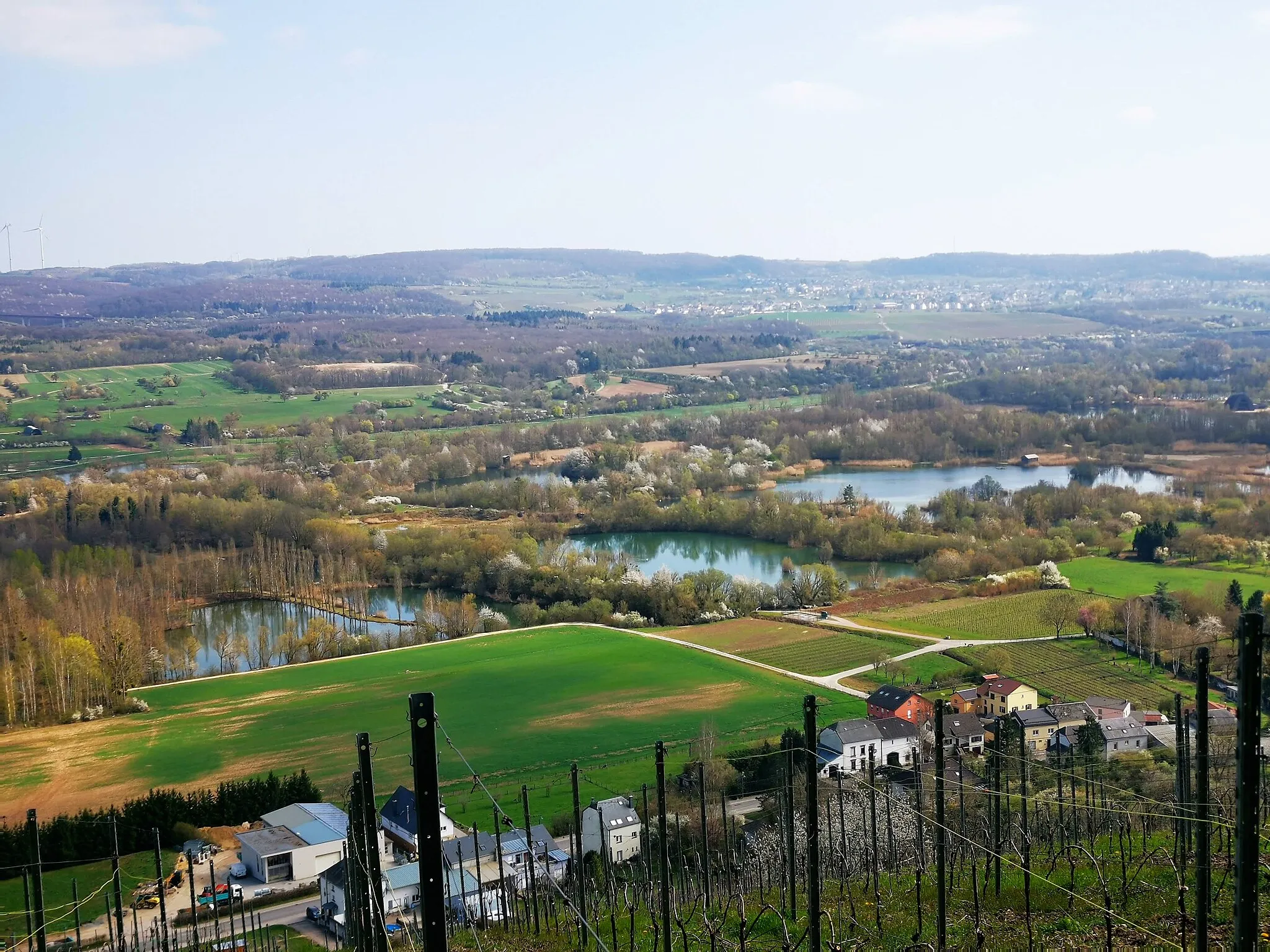 Photo showing: Vue sur les étangs de la « cour de Remich » depuis le Felsbierg à Wintrange (commune de Schengen).