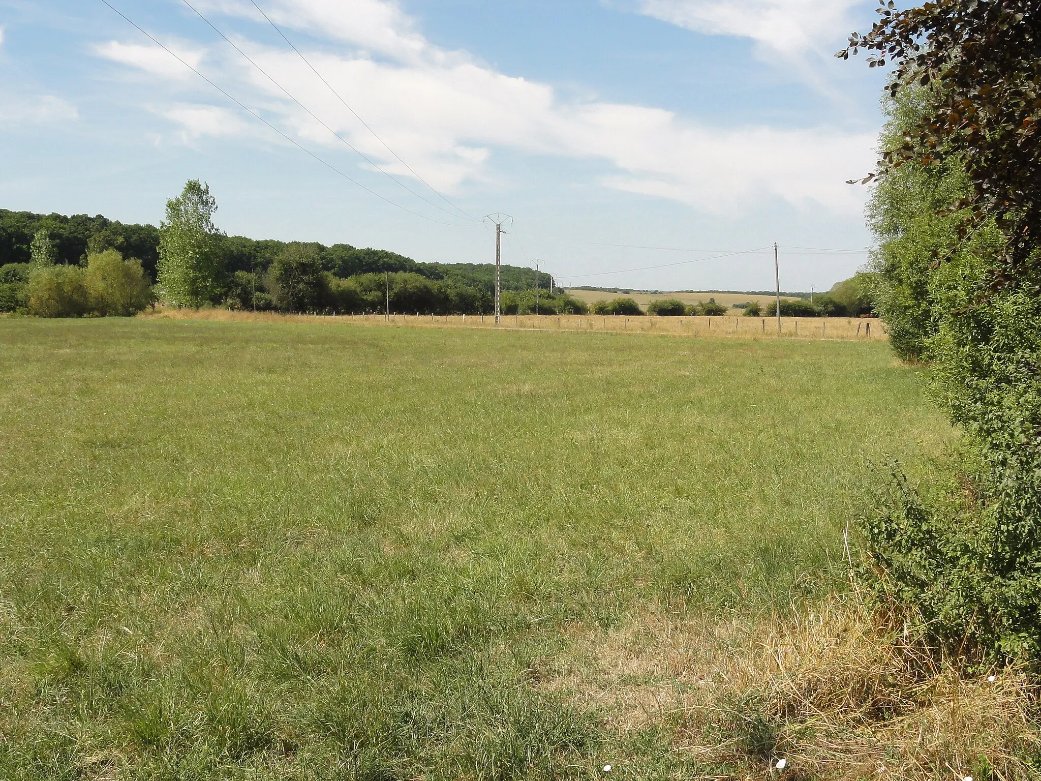 Photo showing: Loison (Meuse) paysage