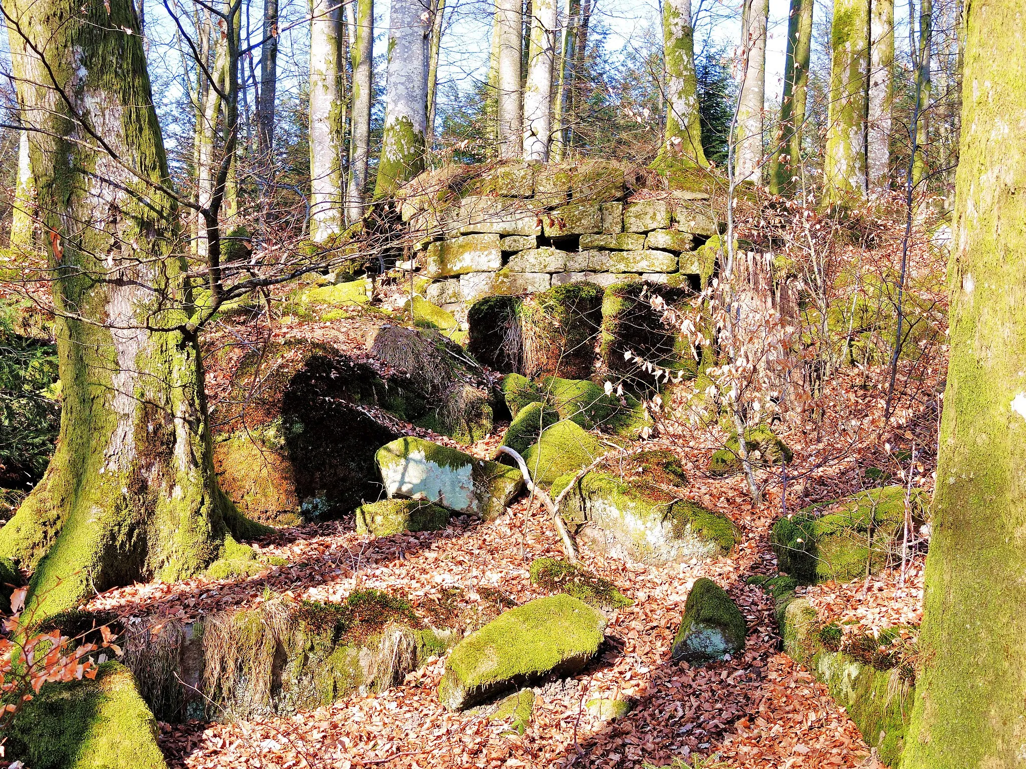 Photo showing: Vestiges de la muraille Sud-Ouest du château des fées. Forêt des Feyes à Clairefontaine, près de Ruaux.