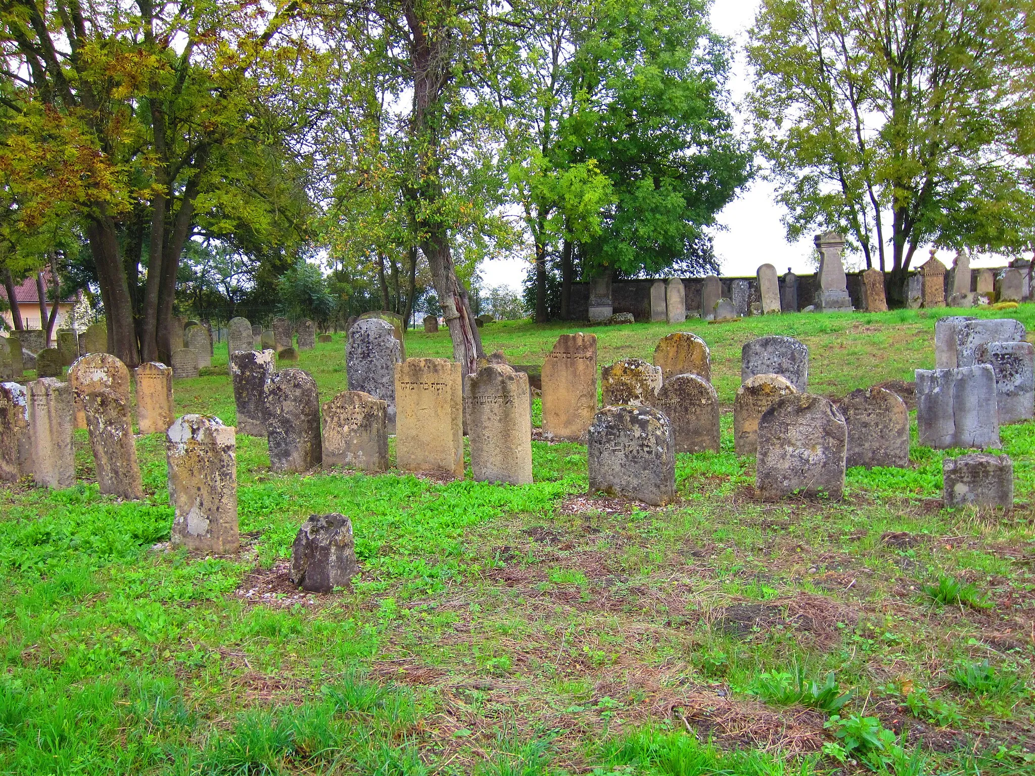 Photo showing: Crehange jewish cemetery