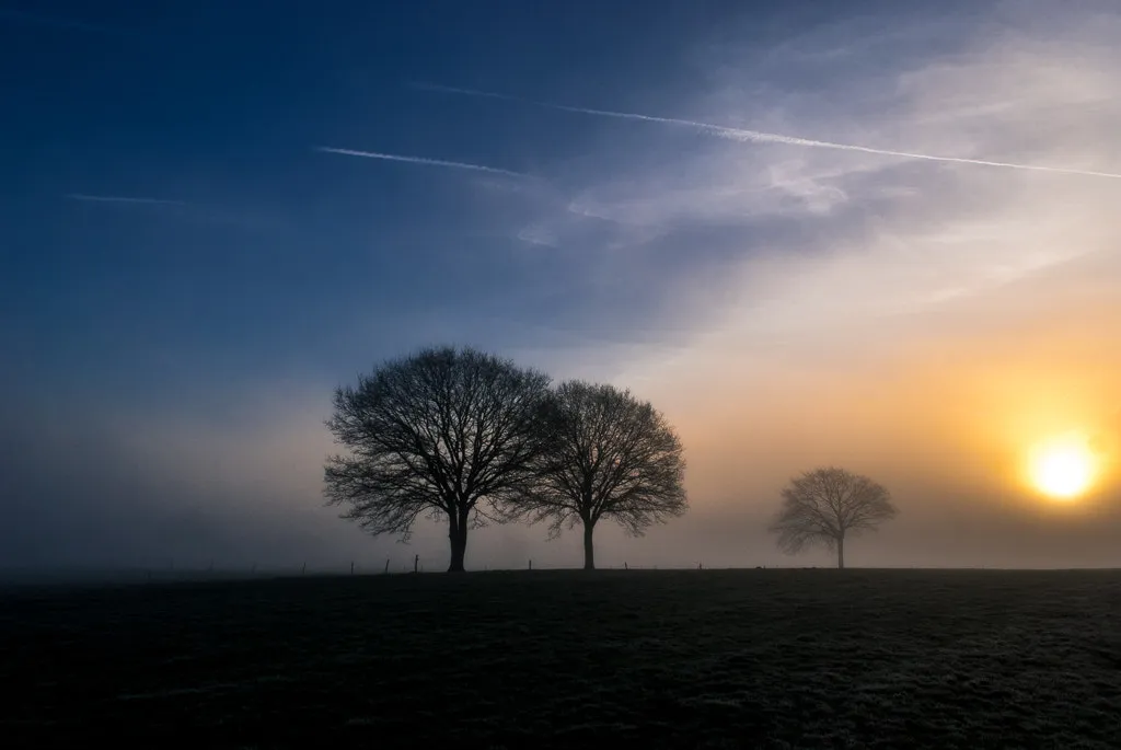 Photo showing: 500px provided description: Colored dream.

www.emmanuel-photography.fr [#landscape ,#sunrise ,#sunset ,#sun ,#sundown ,#dawn ,#dusk ,#suset ,#golden hour ,#red sky ,#ocaso ,#orange sky ,#paysage ,#sunet ,#vosges ,#lorraine]