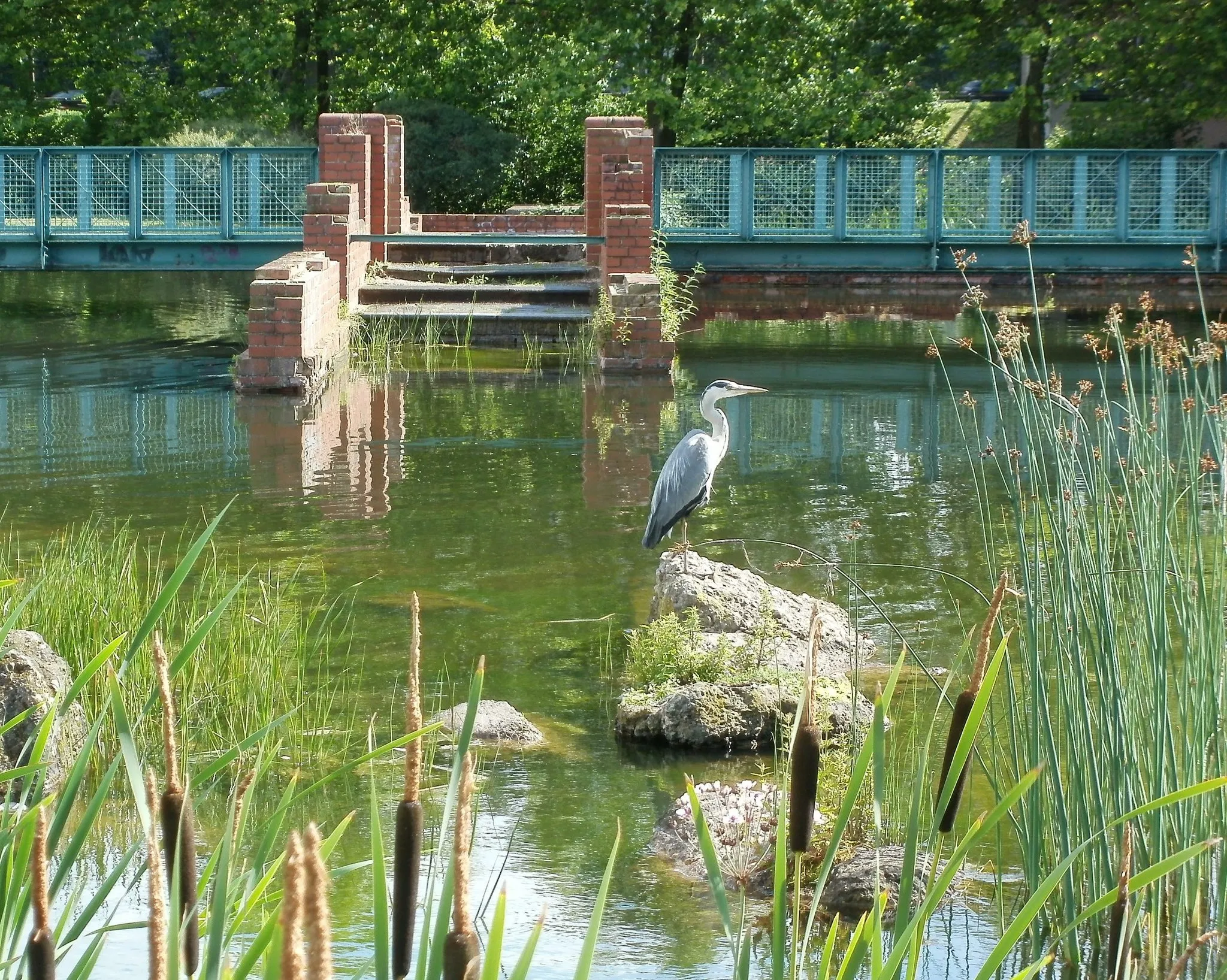 Photo showing: Bürgerpark Saarbrücken