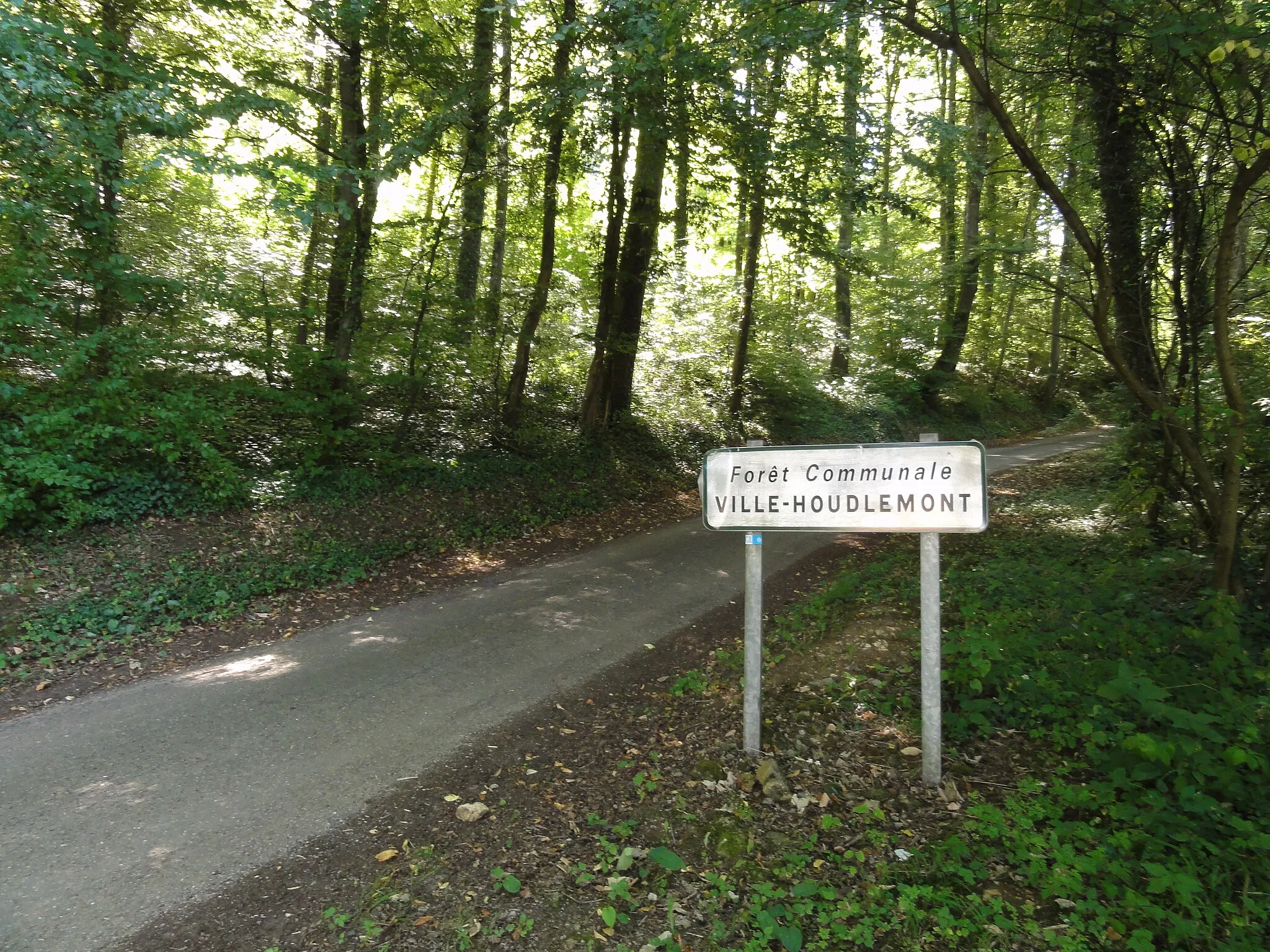 Photo showing: Ville-Houdlémont (Meurthe-et-M.) forêt communale