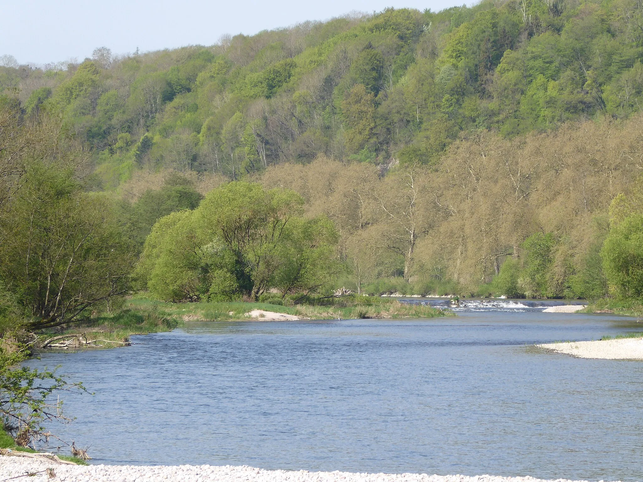 Photo showing: La Moselle près de Bainville-aux-Miroirs dans la réserve naturelle régionale de la Moselle sauvage.