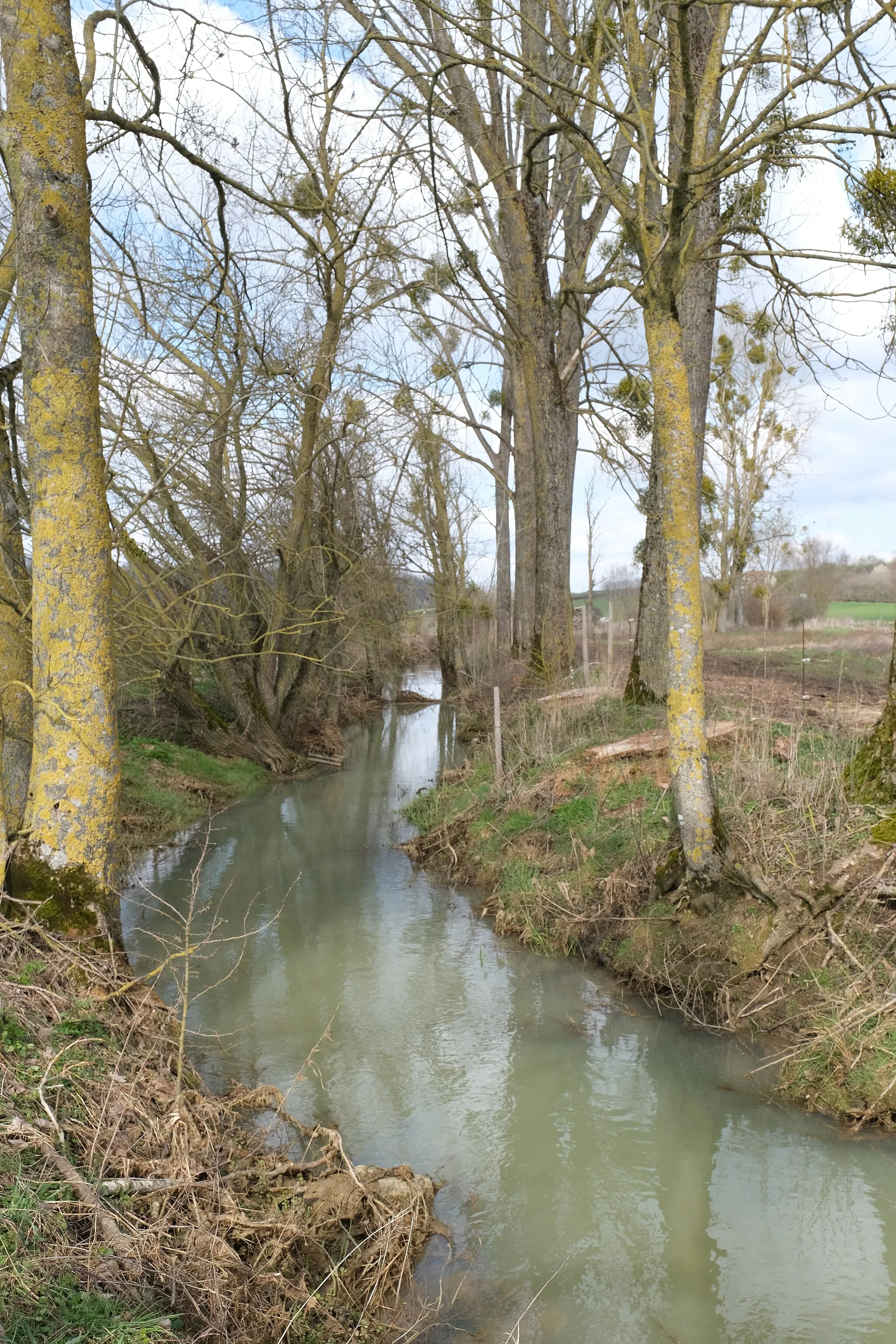 Photo showing: L'Arot (Ar) à Germiny en Meurthe-et-Moselle.