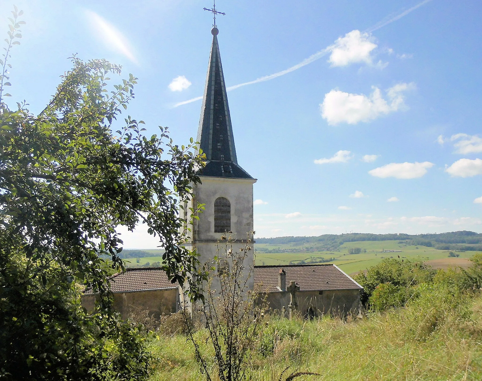 Photo showing: L'église de la Natinité-de-la-Vierge Pulney, côté nord