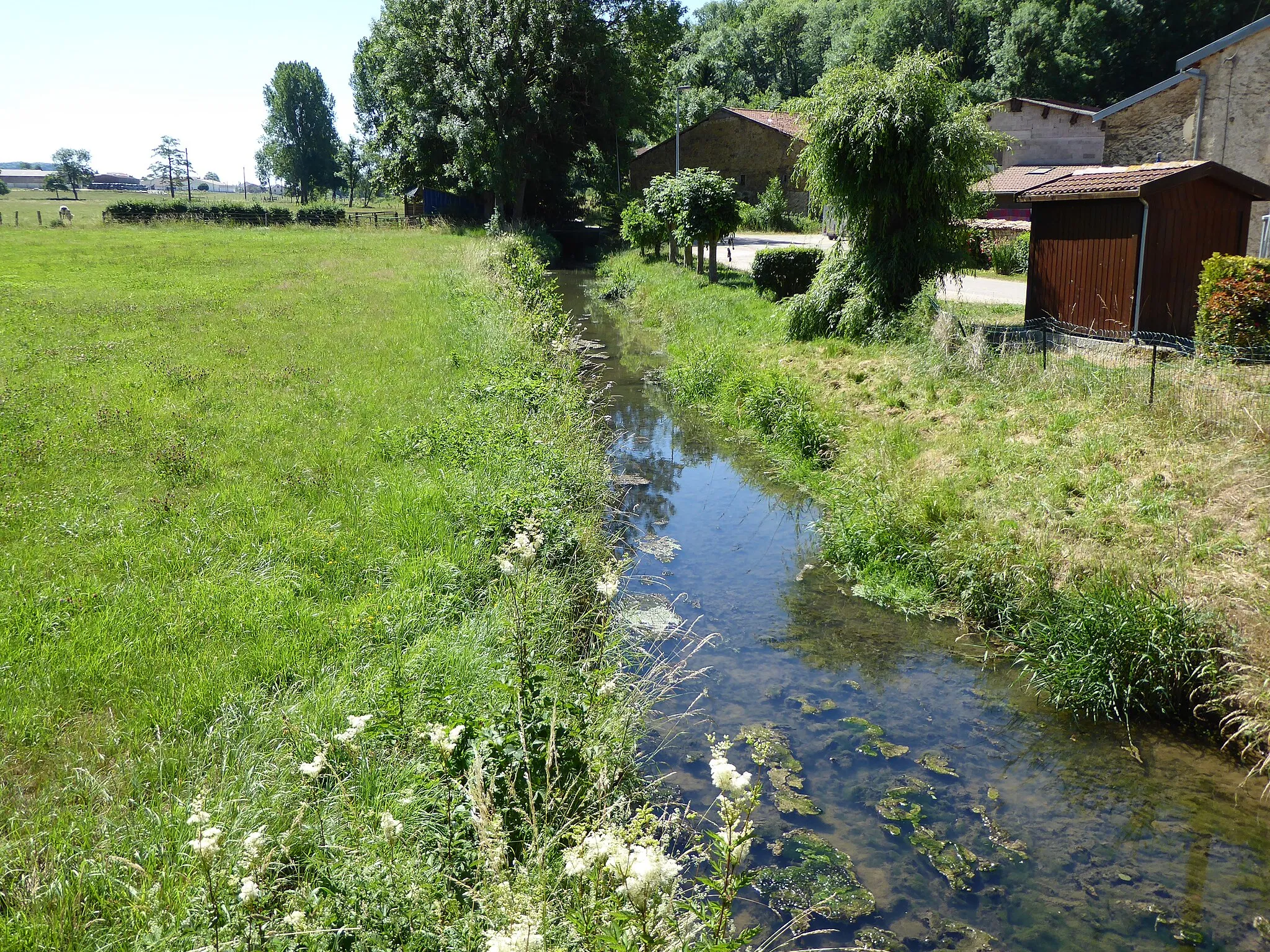 Photo showing: La rivière Aroffe à Aroffe.