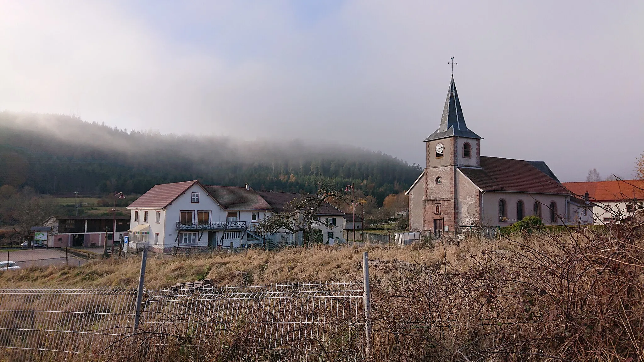 Photo showing: Centre de Biffontaine, au-dessus de la mairie-école, avec l'église Saint-Antoine et la forêt en arrière-plan.