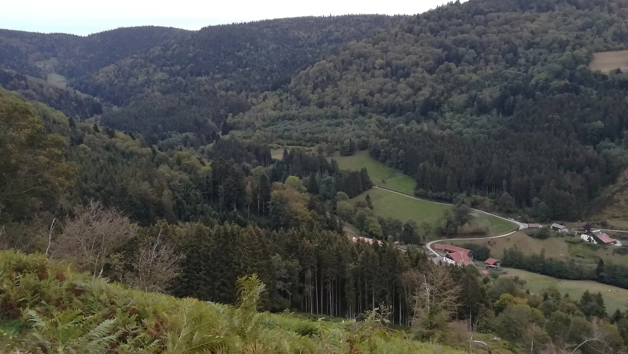 Photo showing: Vallée de Grandrupt