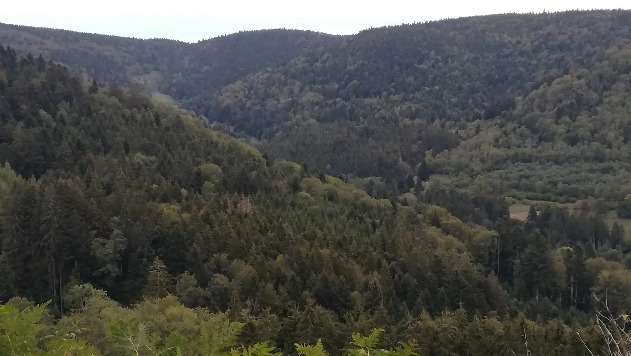 Photo showing: Vallée de Grandrupt