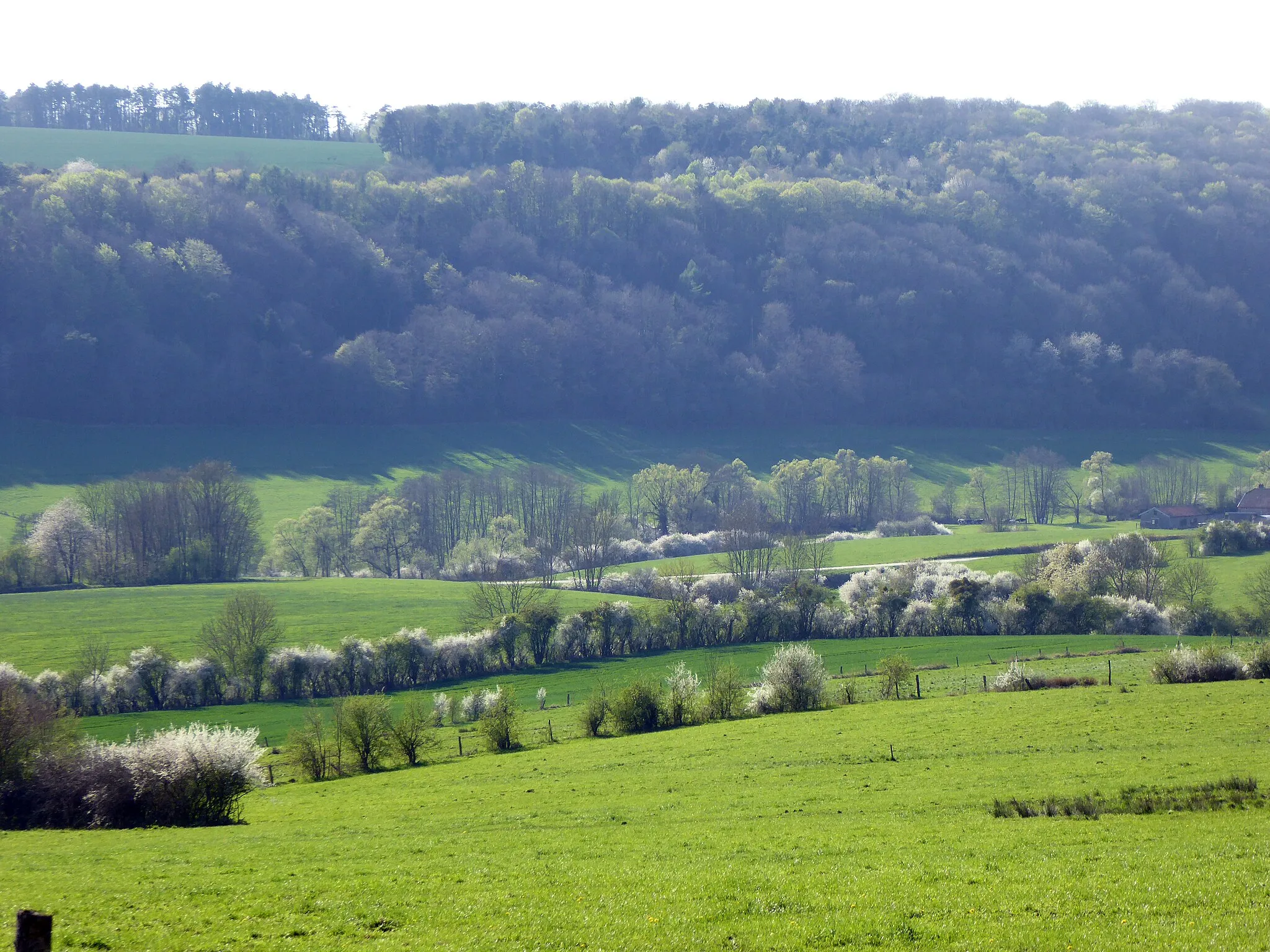 Photo showing: la vallée au printemps