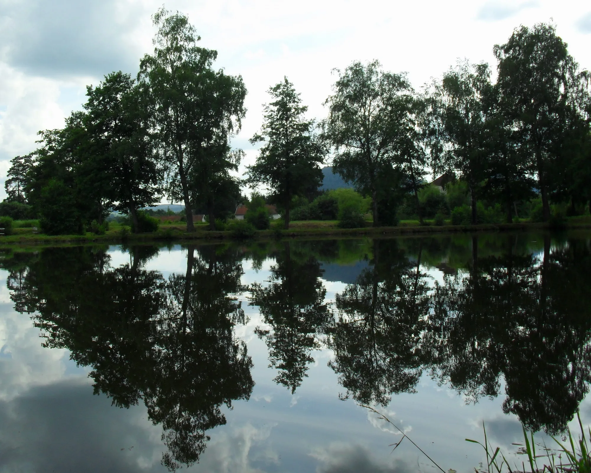 Photo showing: Un des étangs aménagés pour la promenade près de la gare de Vanémont au sud de ce hameau, sur le territoire communal de la Houssière. Cliché pris en 2012, recadré et réduit en taille, format jipeg