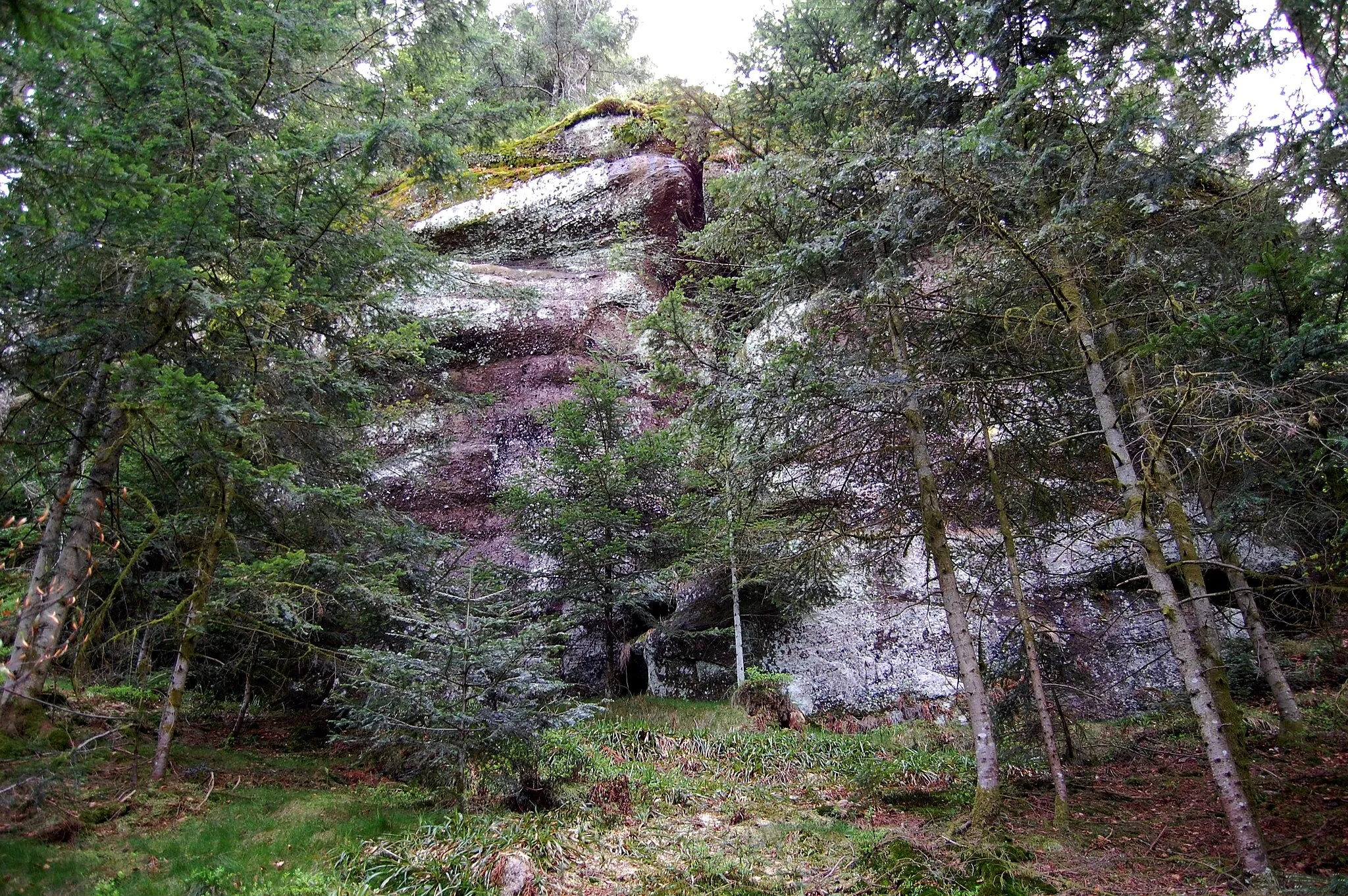 Photo showing: Les Grandes Roches, Le Tholy, Vosges.