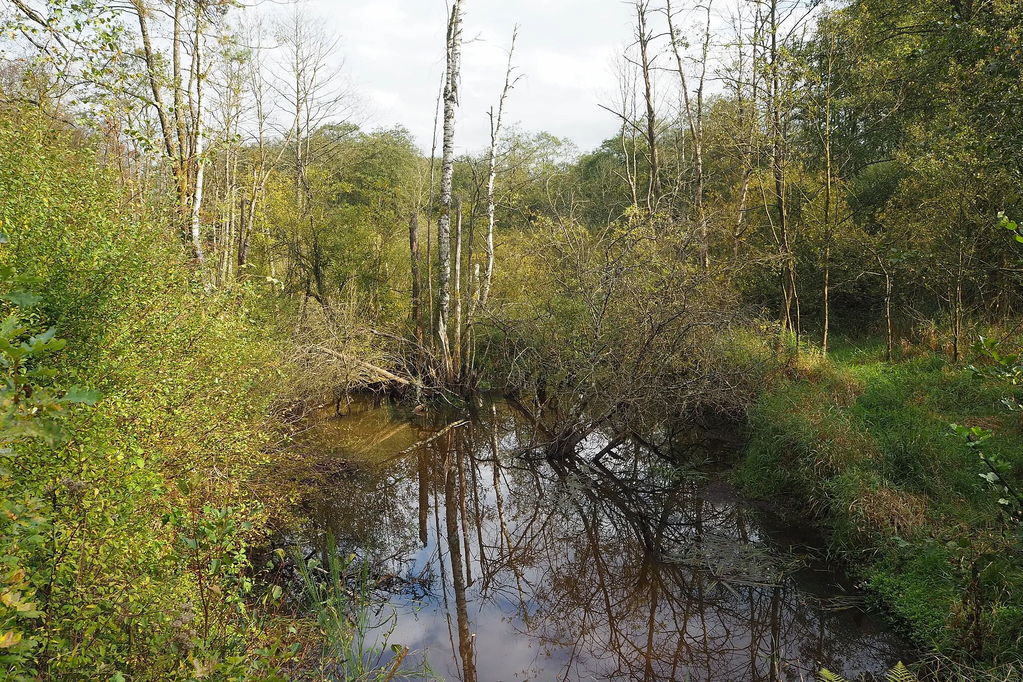 Photo showing: This is a photo of a monument in Wallonia, number: