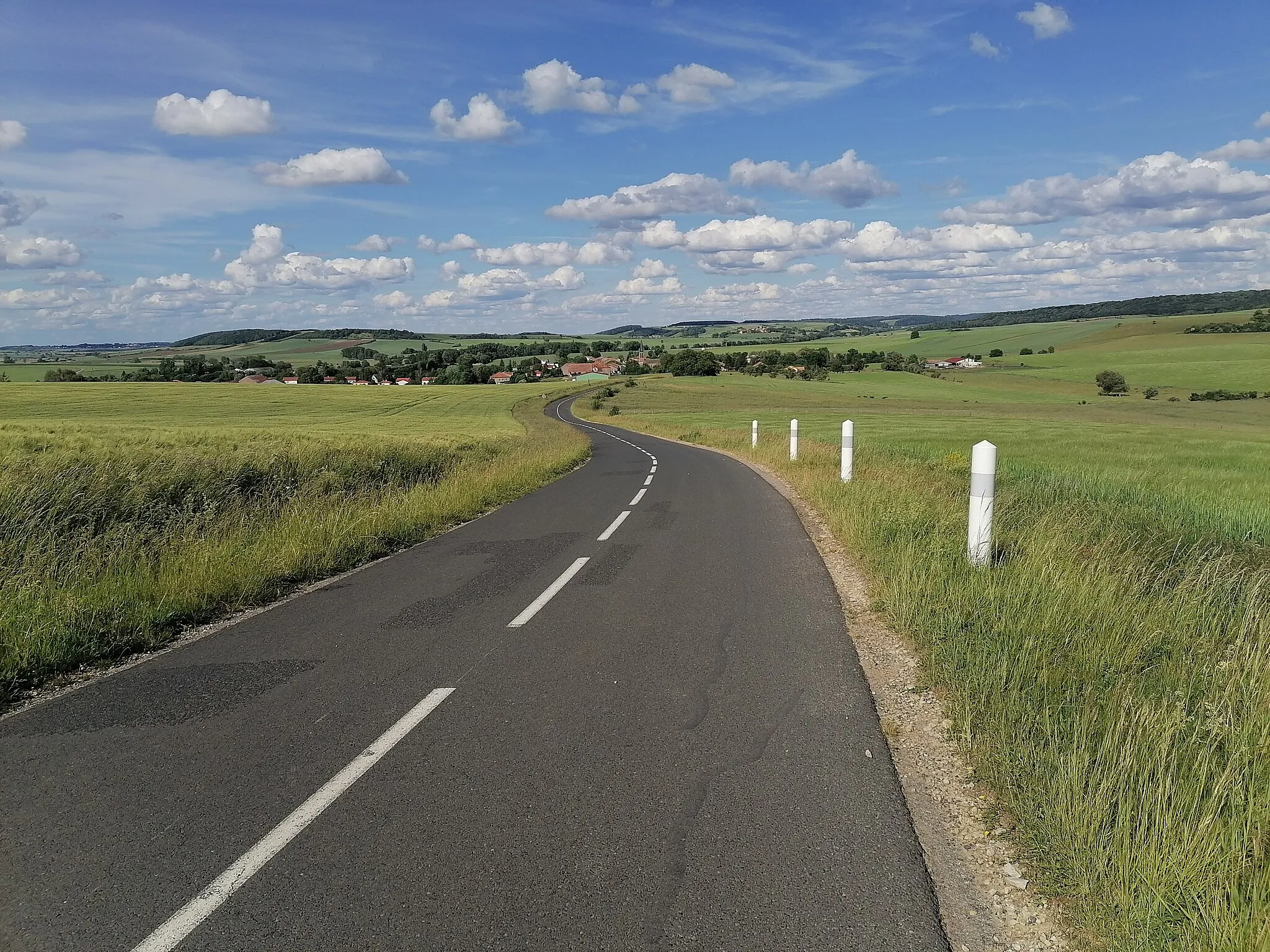 Photo showing: Vue générale du village depuis la route D155T qui part en direction de Morville-lès-Vic