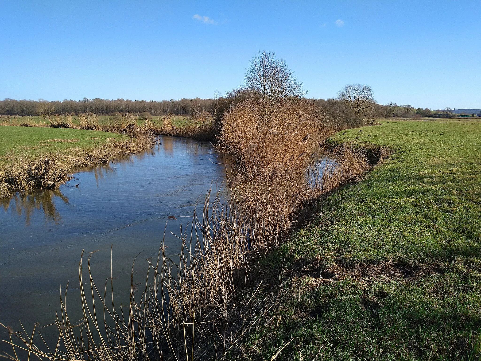 Photo showing: Loutre Noire à sa confluence avec la Seille près de Pettoncourt