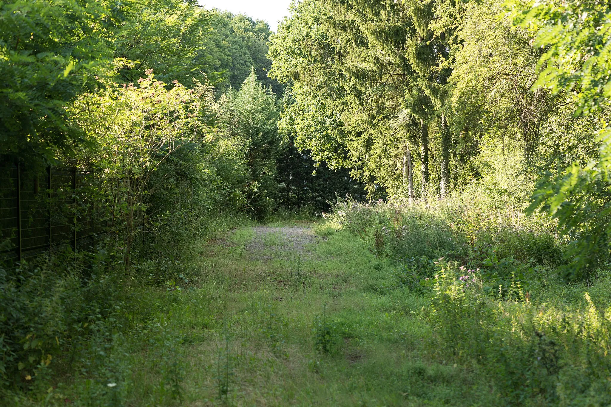 Photo showing: Knapp 100 Meter no der franséisch-lëtzebuergescher Grenz féiert e Wee vum CR160 duerch de «Landweringen»-Bësch bei d'Monument fir d'Affer vum Zuchaccident zu Zoufftgen vum 11. Oktober 2006.