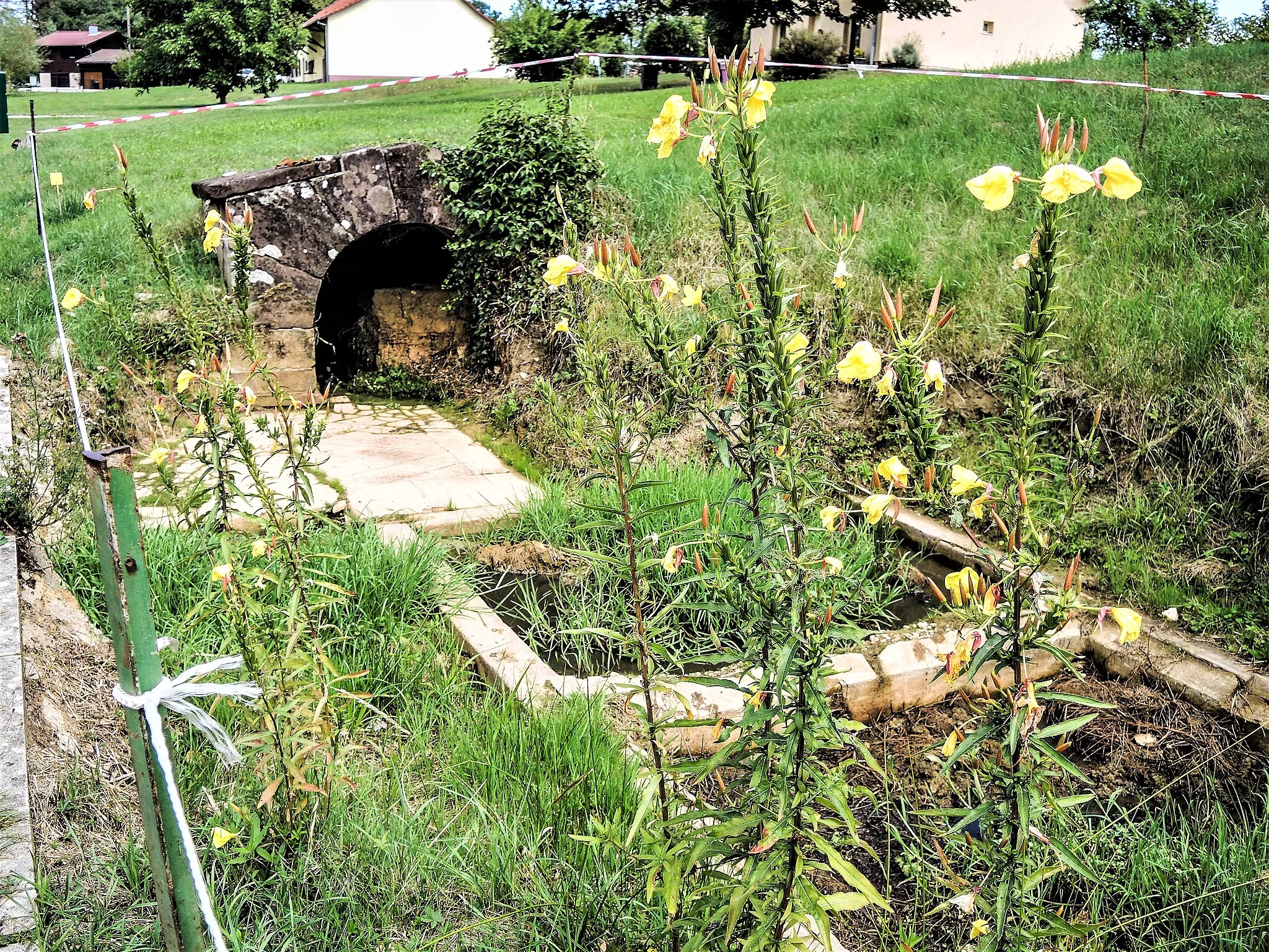 Photo showing: Ancien lavoir