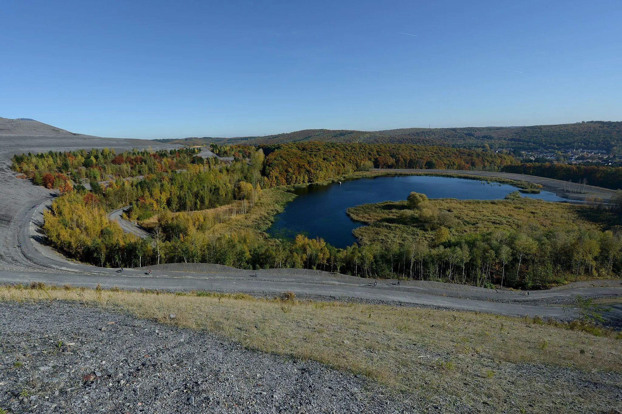 Photo showing: Goldener Herbst am Kohlbachweiher mit Halde (2016). Alter Absinkweiher der ehemaligen Grube Göttelborn (2016).