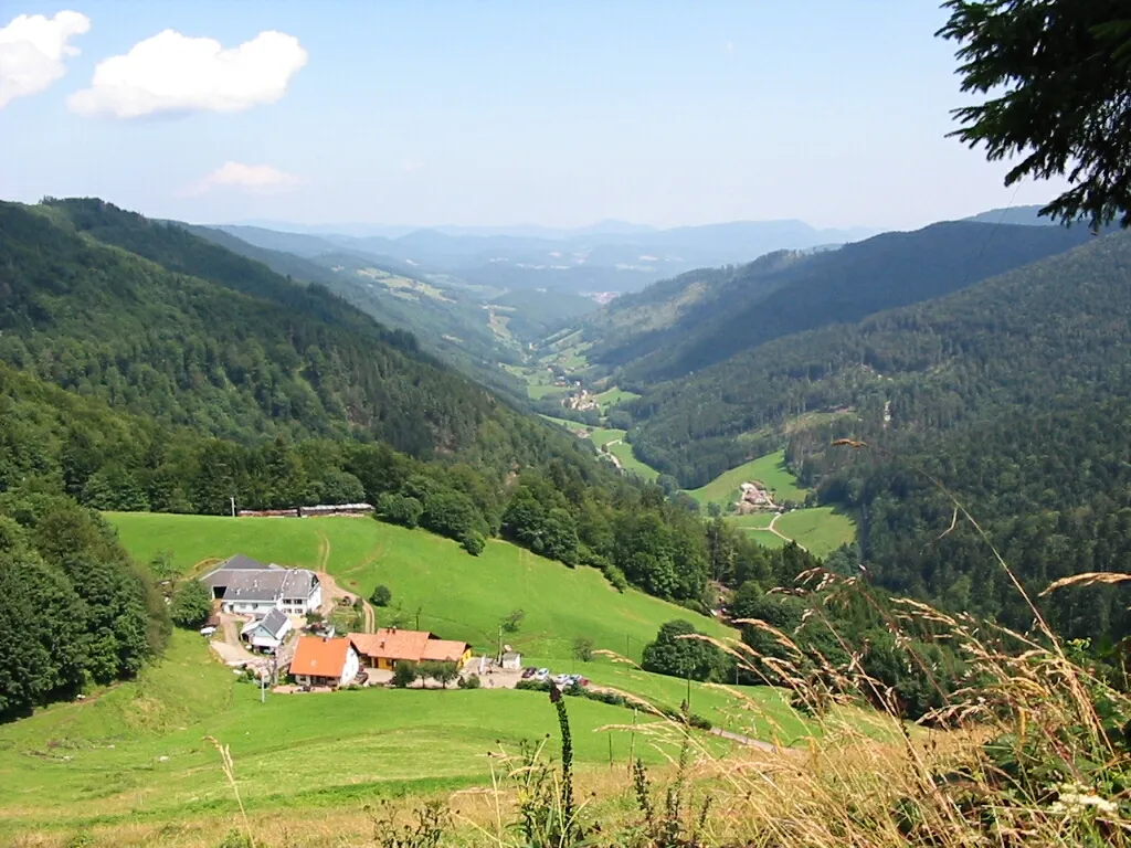 Photo showing: Haute vallée de la Liepvrette
Rivière du Haut-Rhin, en Alsace, sur la commune de Sainte-Marie-aux-Mines
Photographie personnelle prise le 27 juillet 2005, entre le col des Bagenelles et le col du Pré de Raves.