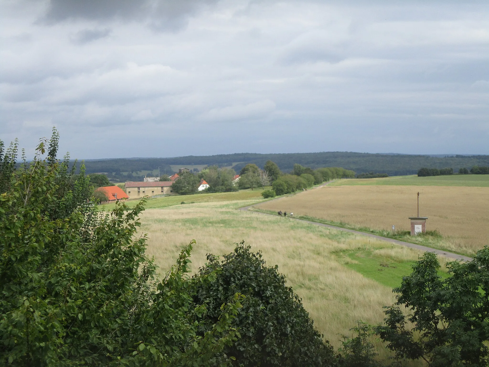Photo showing: Aussicht vom Heidenkopfturm bei Ormesheim auf den optischen Telegraphen und den Neuhof in Bebelsheim