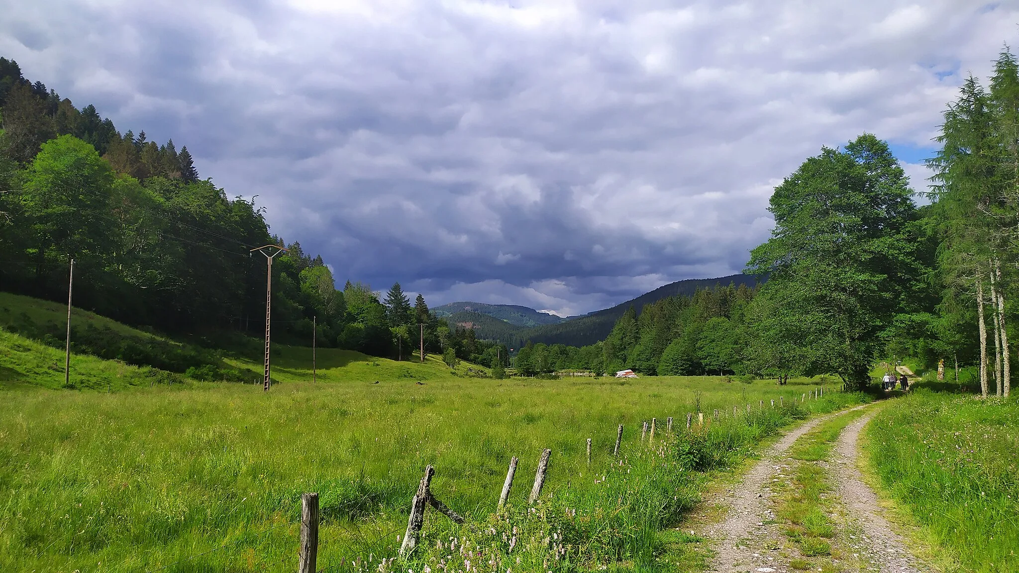 Photo showing: Depuis un chemin entre Travexin et Le Ménil, prise de vue vers les Suais.