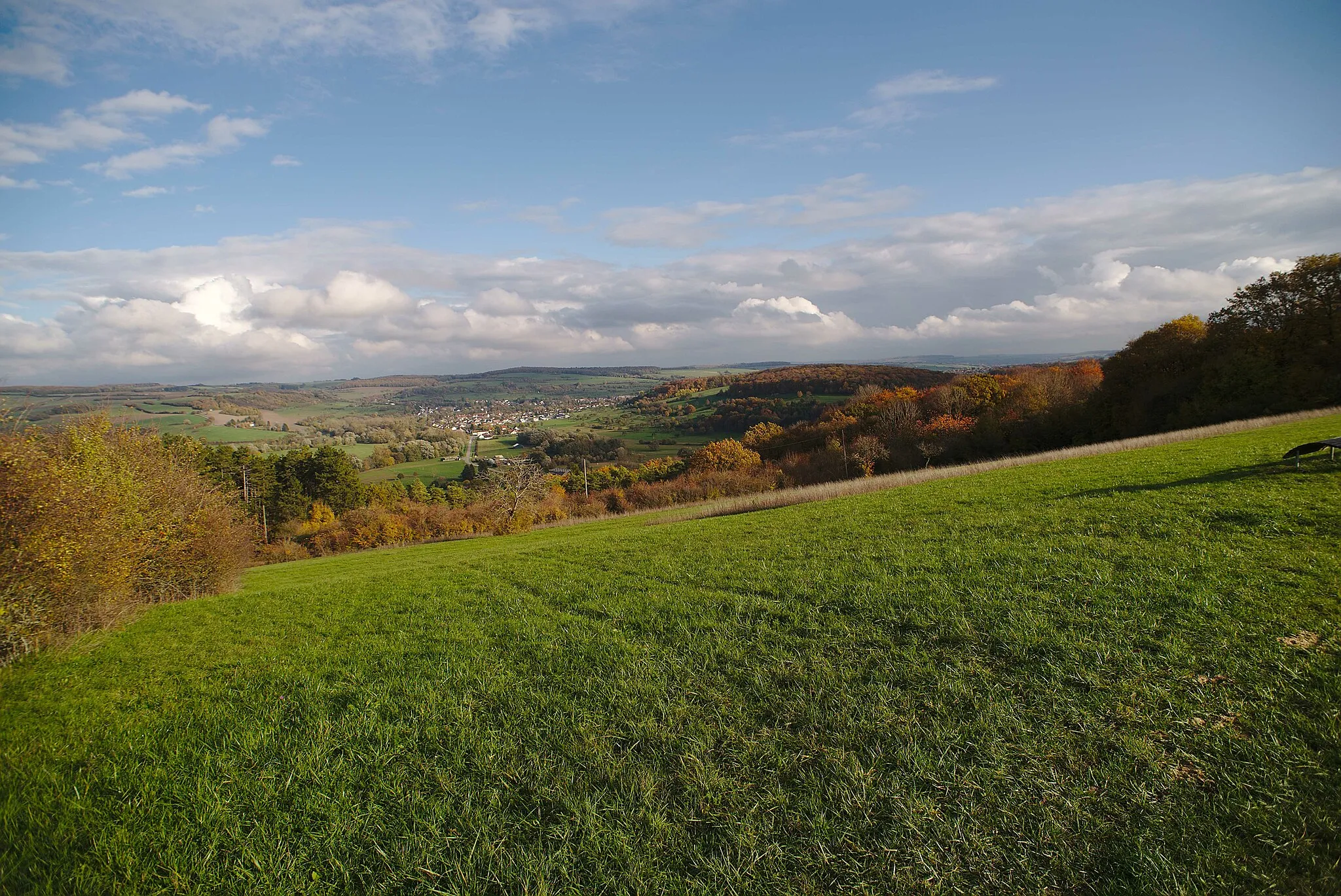 Photo showing: The Bliesgau view at the hiking trail Blies-Grenz-Weg.