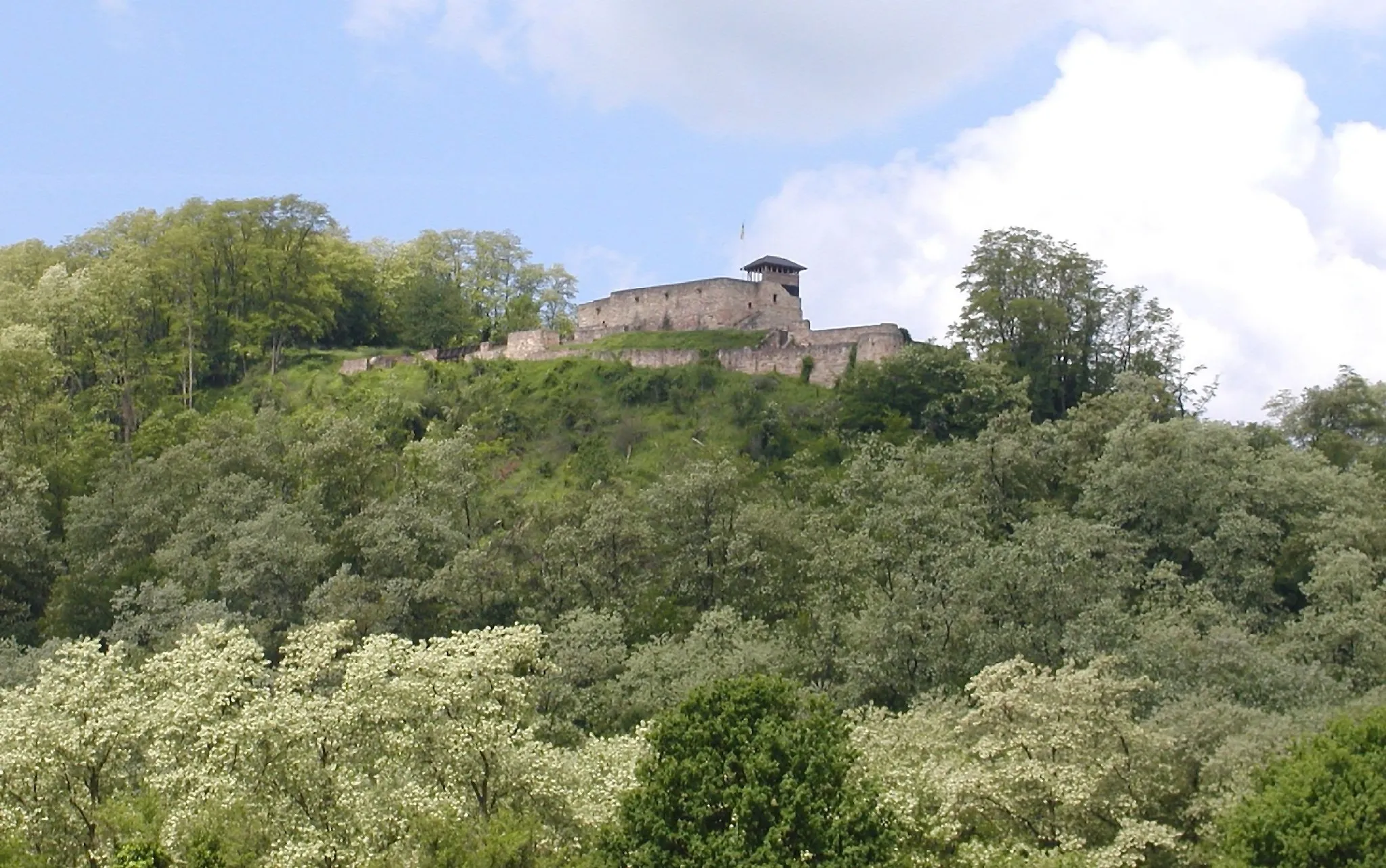 Photo showing: Teufelsburg (Burg Neufelsberg) in Felsberg in der Akazienblüte