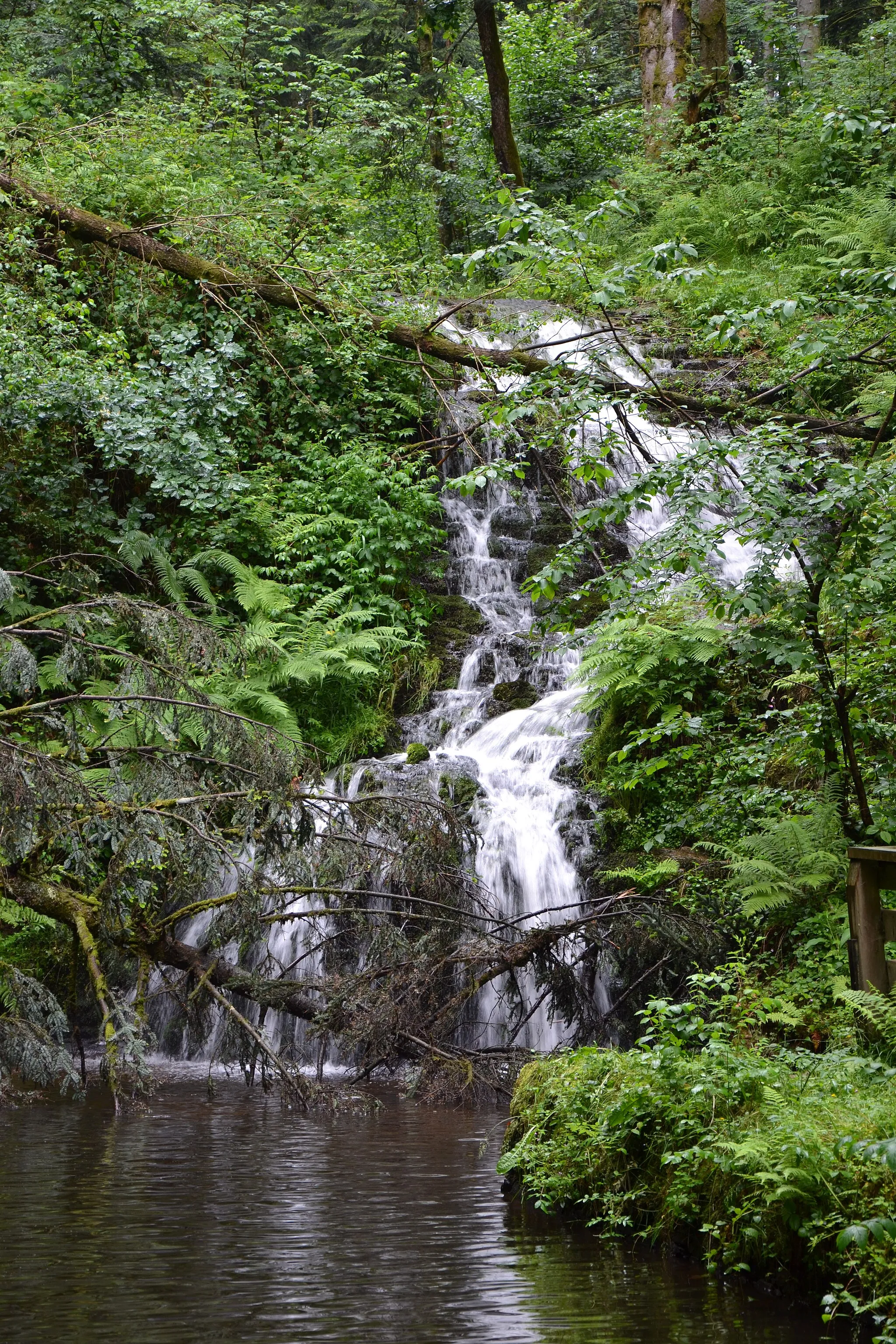 Photo showing: La cascade de Faymont, Le Val d'Ajol.