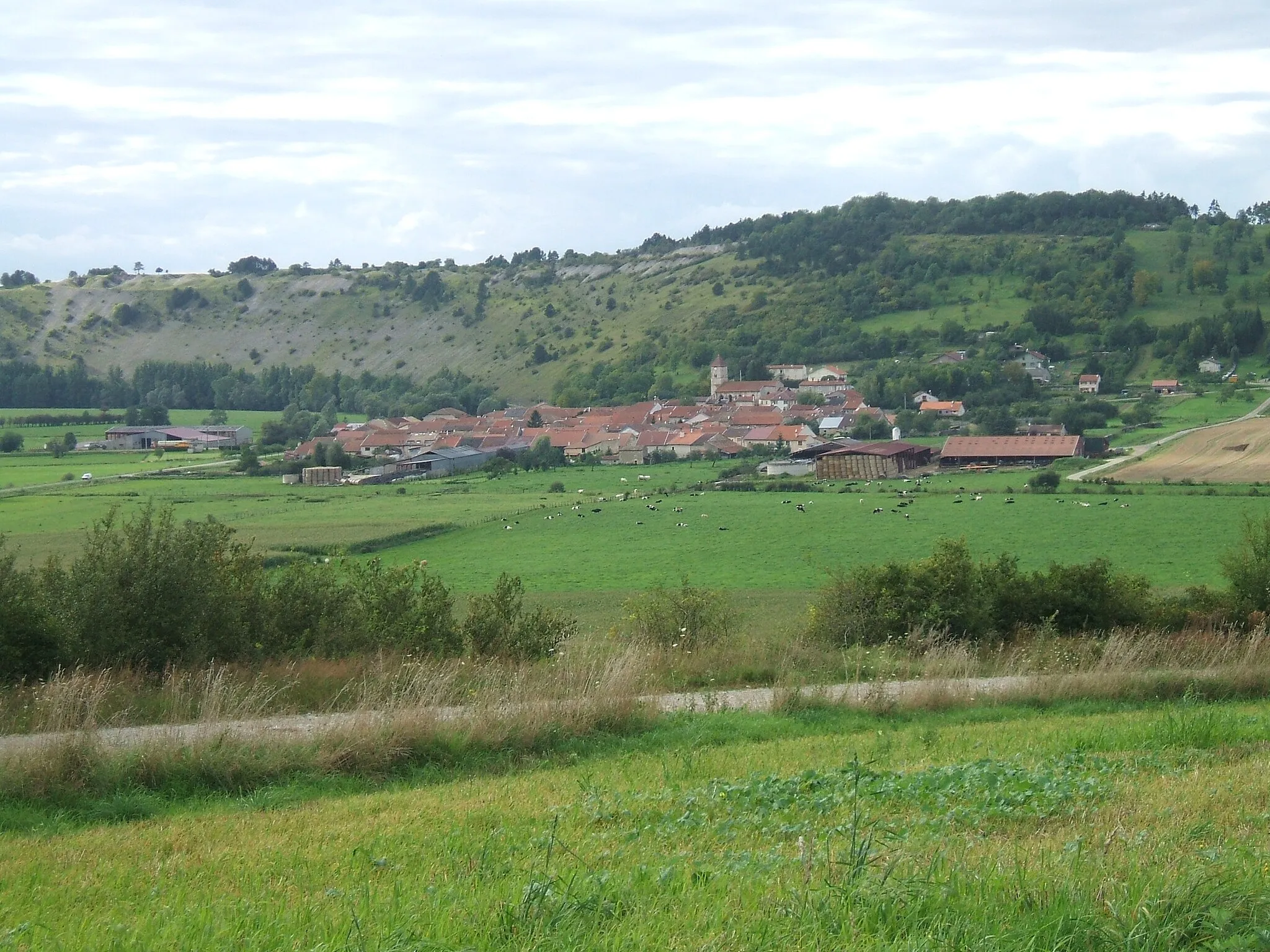 Photo showing: Vue sur le village de Pagny-la-Blanche-Côte.