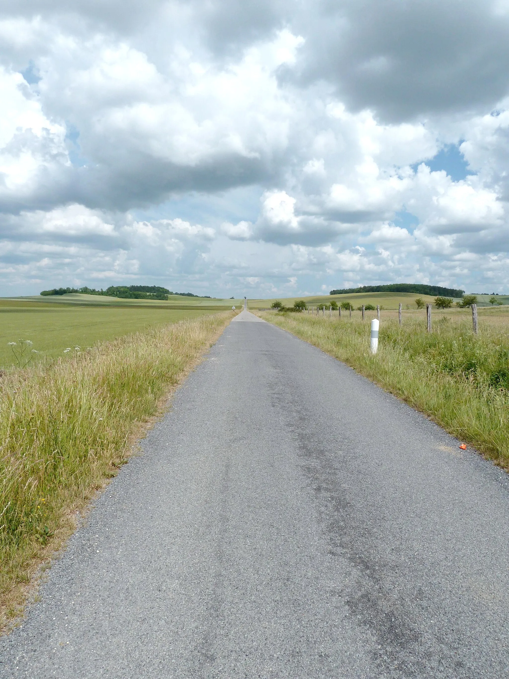 Photo showing: Ancienne Voie romaine Reims-Metz entre Bovée-sur-Barboure et Broussey-en-Blois.