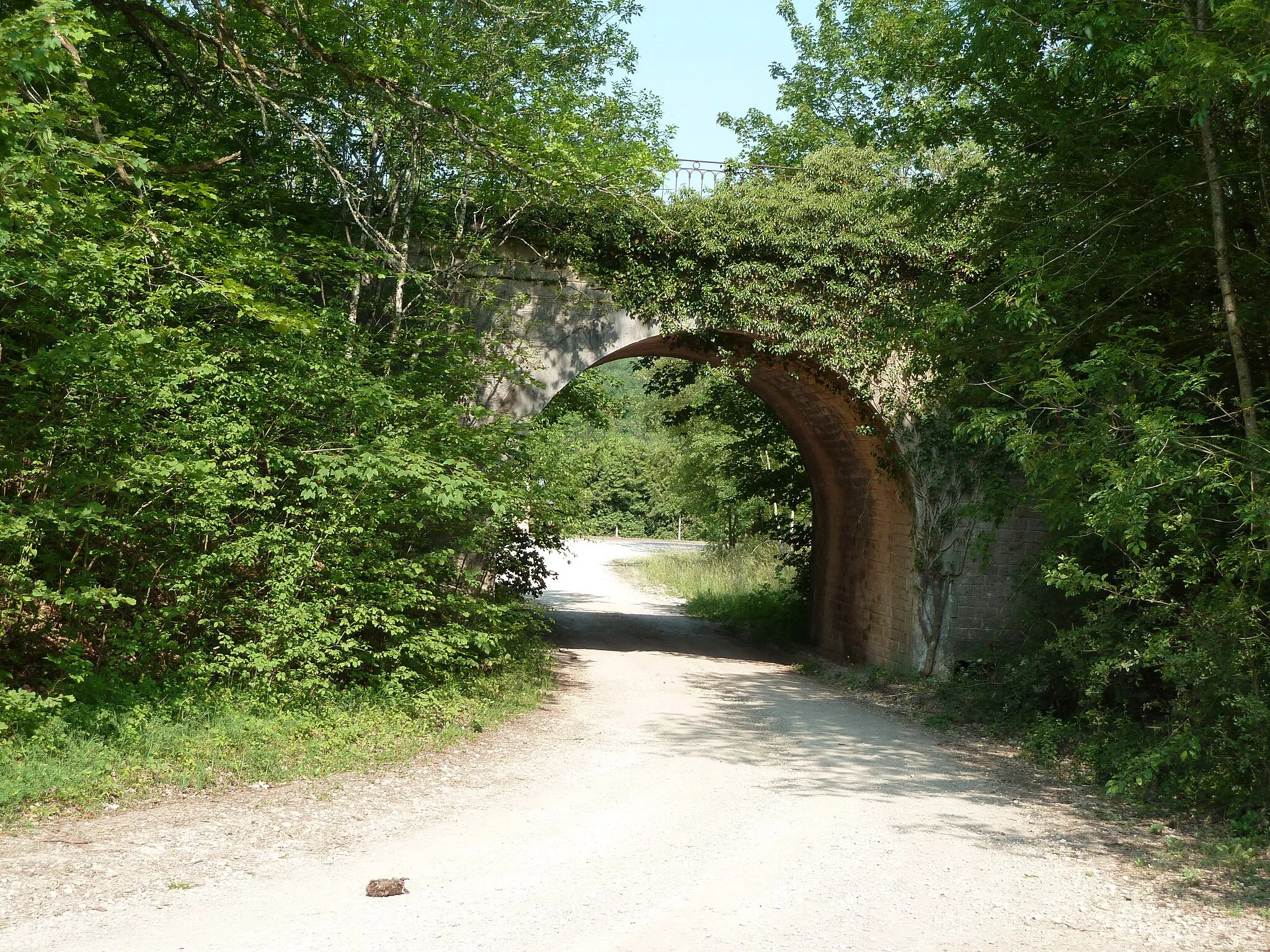 Photo showing: Tunnel sous la ligne de chemin de fer désaffectée de Sorcy à Wassy et Montier-en-Der (Ligne Jessains - Sorcy), qui passait par Void, Sauvoy, Mauvages, Gondrecourt-le-Château, Luméville-Chassey, etc... Le service voyageur y sera supprimé le 01.07.1938, et le fret le 17.05.1953.