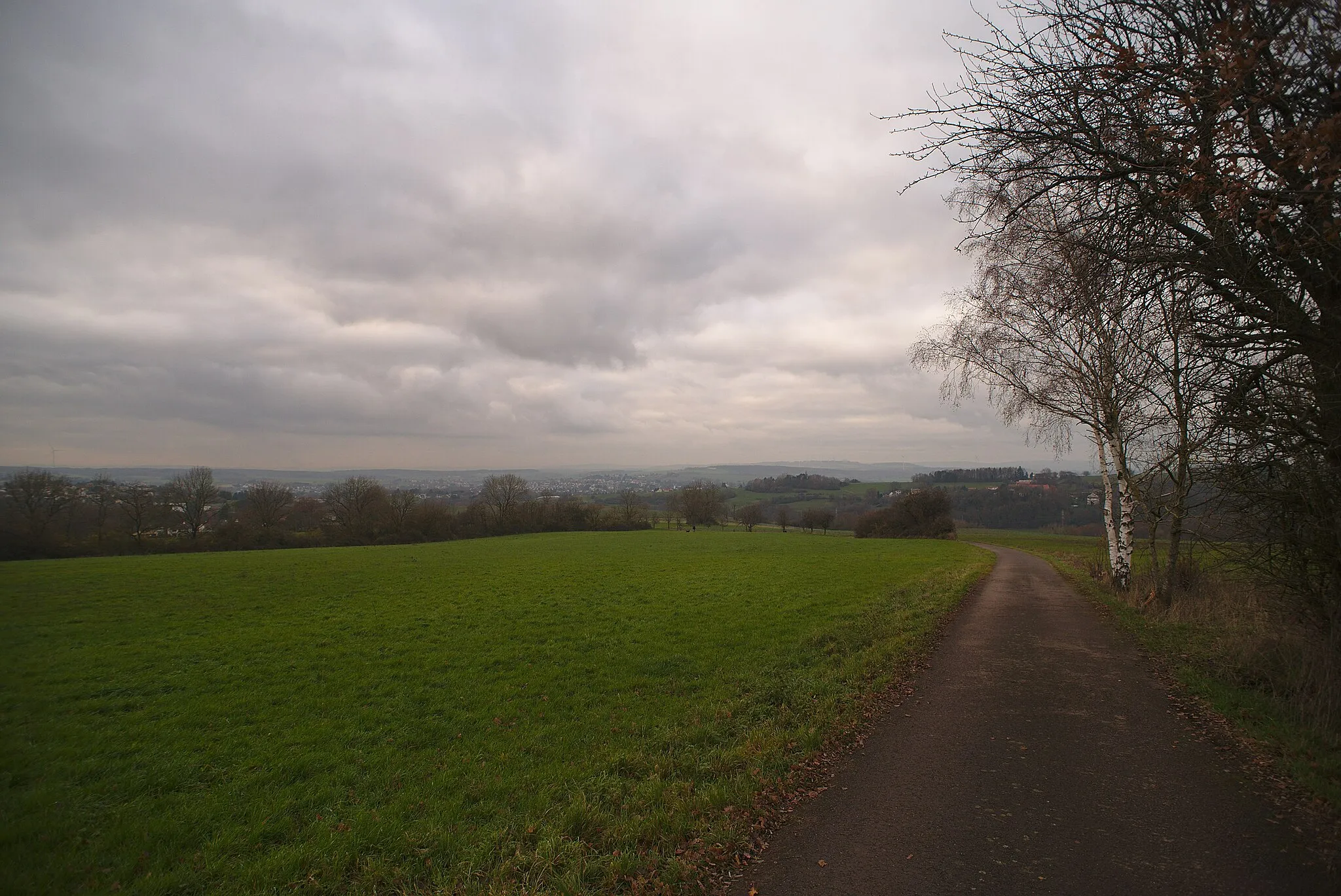 Photo showing: Der Hilschbachblick am Frohn-Wald-Weg.