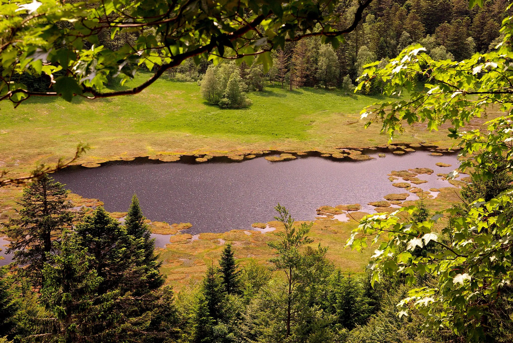 Photo showing: Cirque lake and mires of Machais -  National nature reserve Machais, Highest Vosges mountains, France