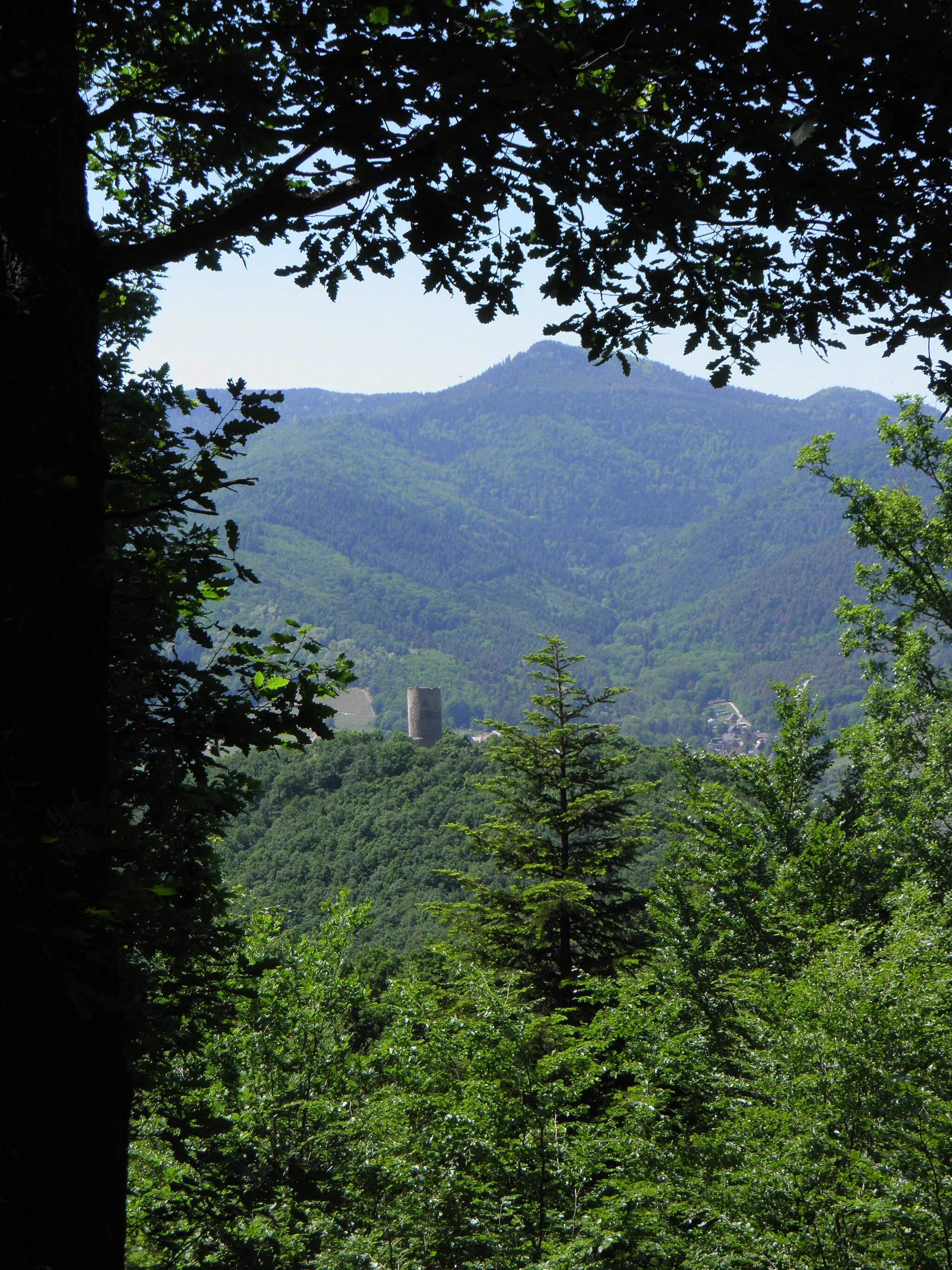 Photo showing: Château du Pflixbourg (458 m) à Wintzenheim (Haut-Rhin, France).