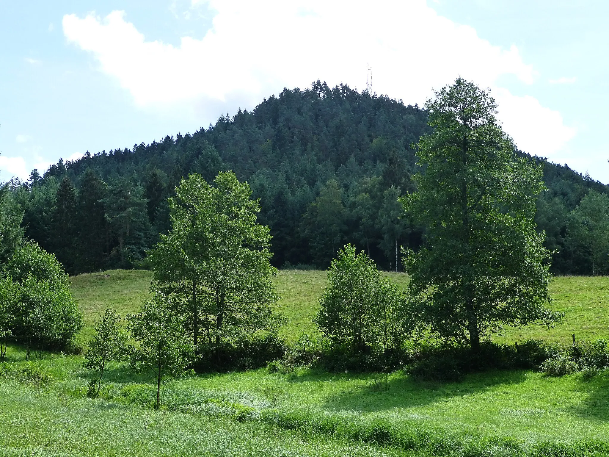Photo showing: Mont Avison (Bruyères, Vosges)