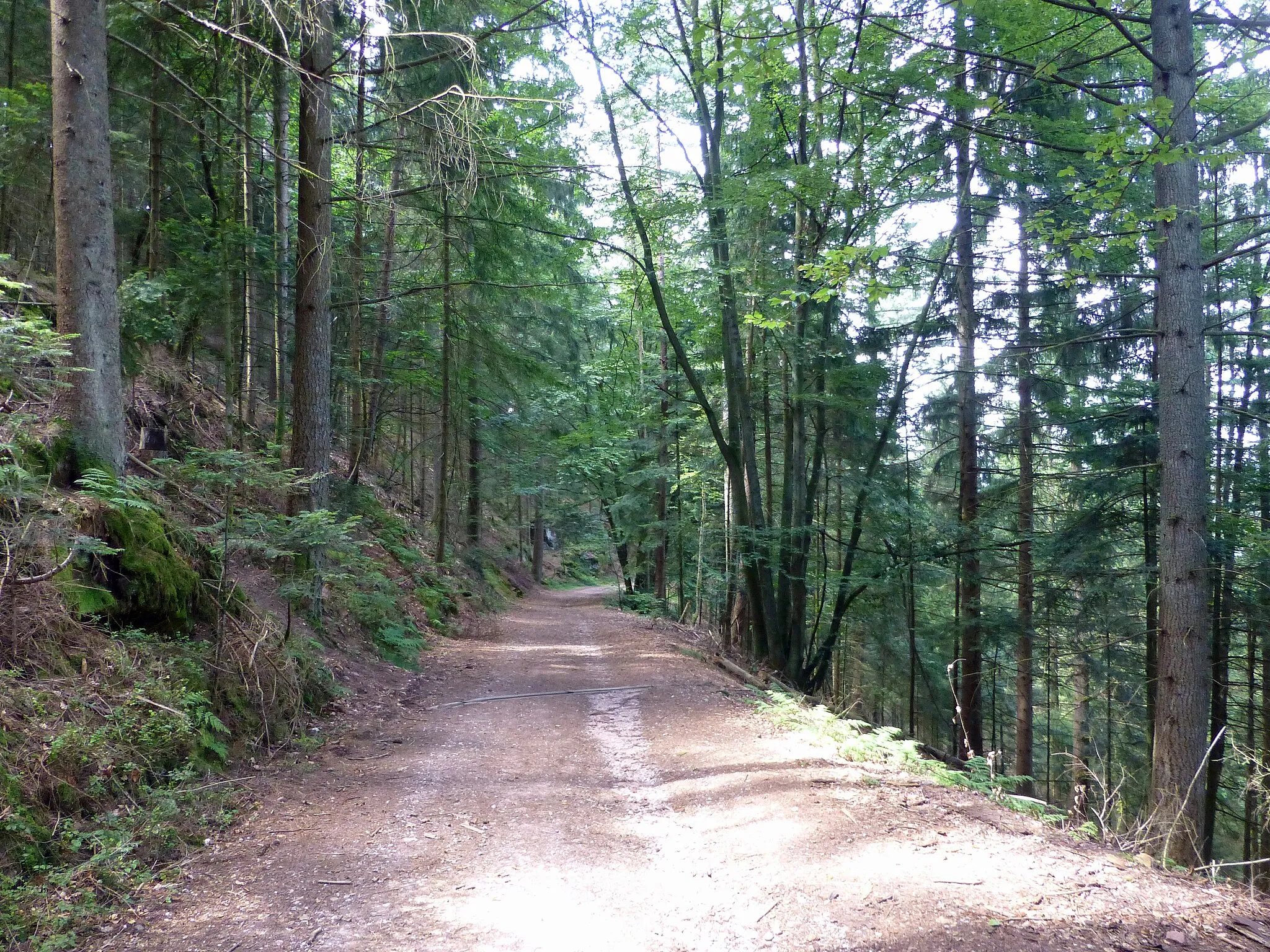 Photo showing: Mont Avison (Bruyères, Vosges)