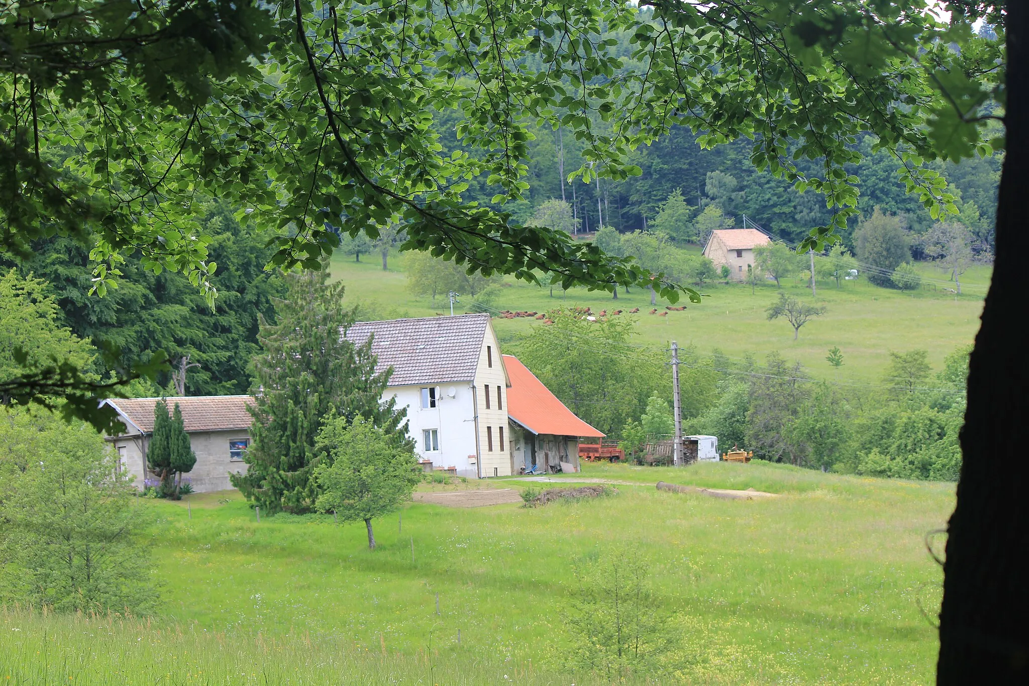 Photo showing: La ferme du Grambaechle à MASEVAUX