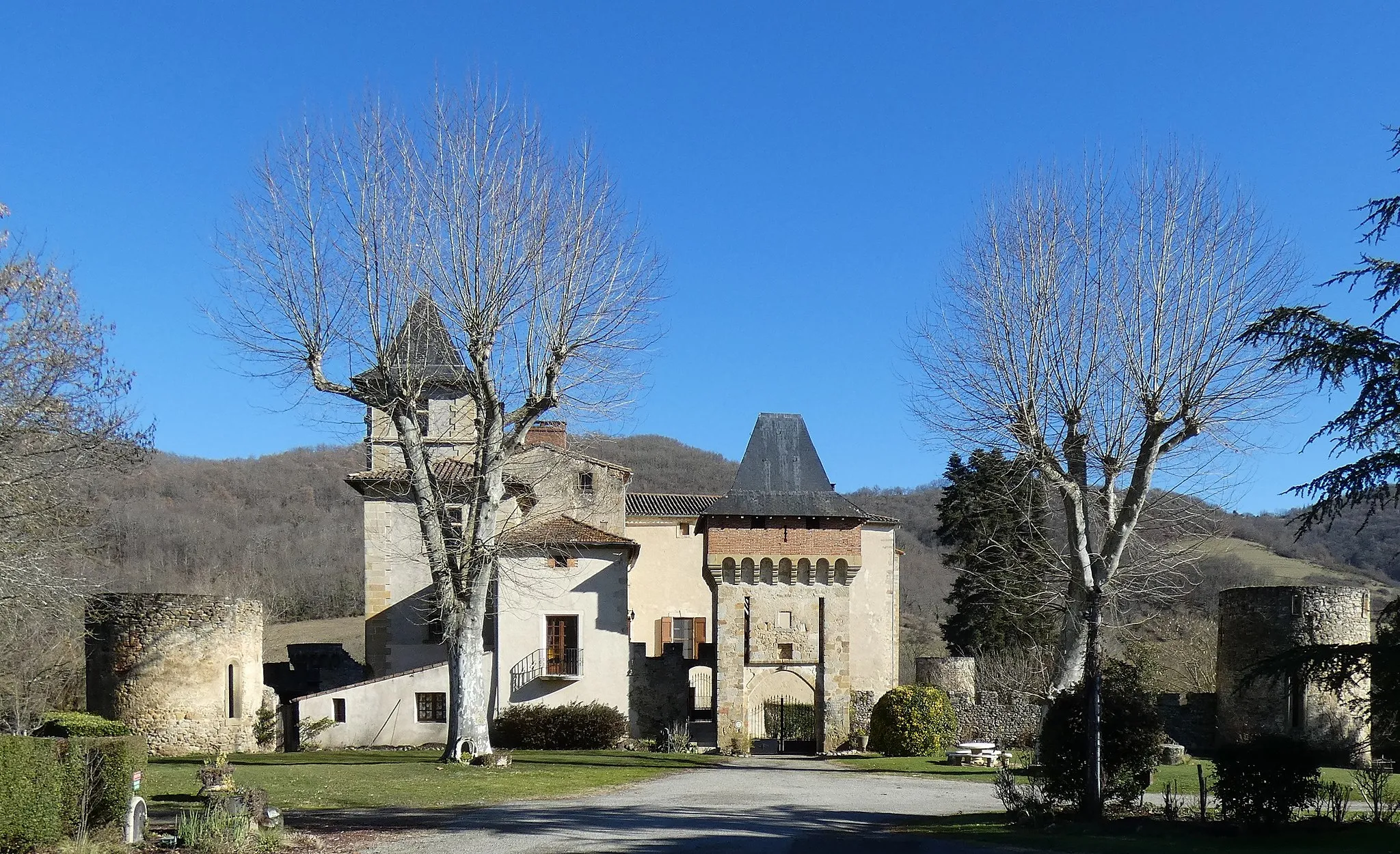 Photo showing: Château de la Hille à Montégut-Plantaurel (Ariège)
