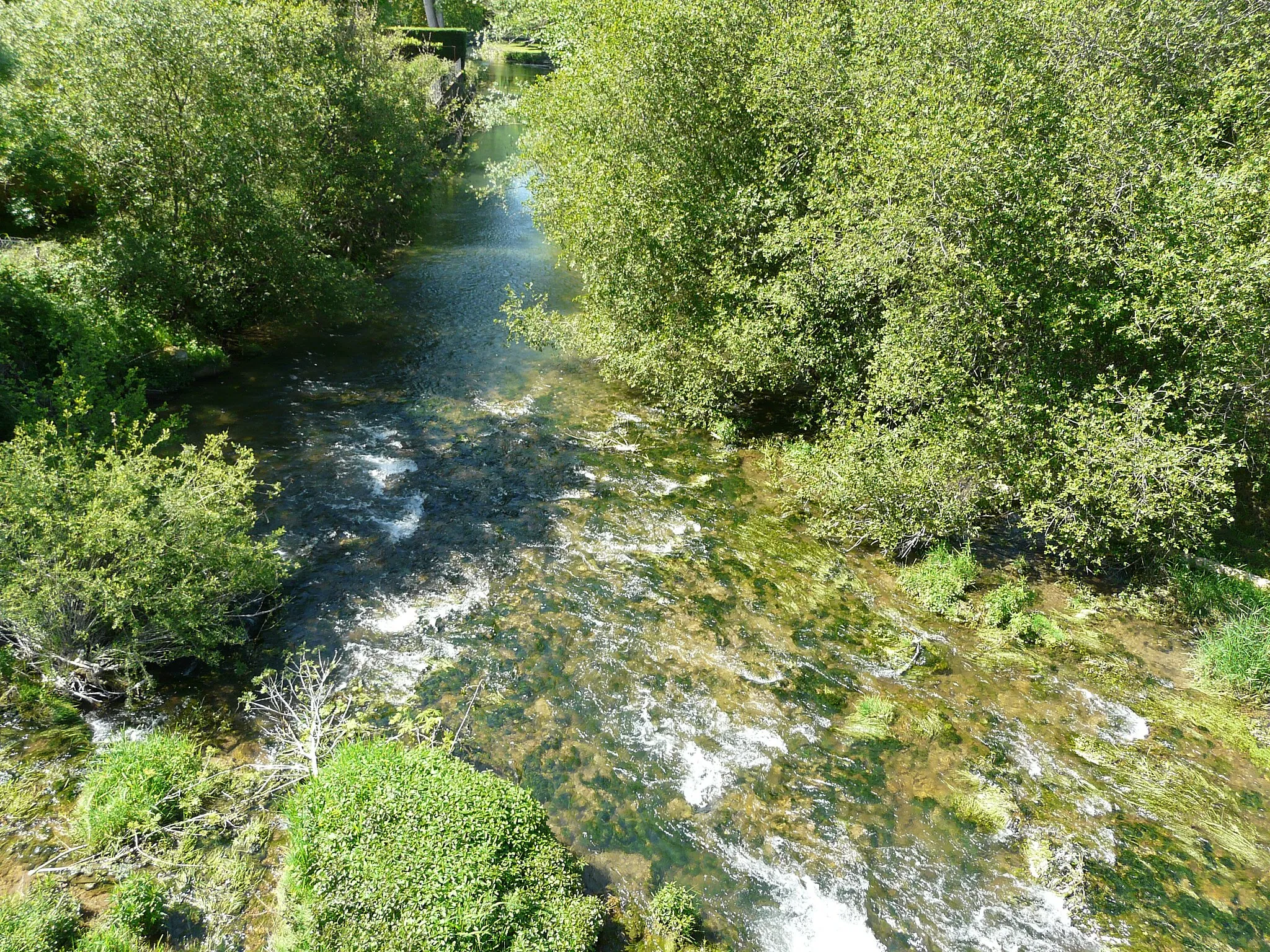 Photo showing: Le Céou en aval du pont de la route départementale 60, Daglan, Dordogne, France.