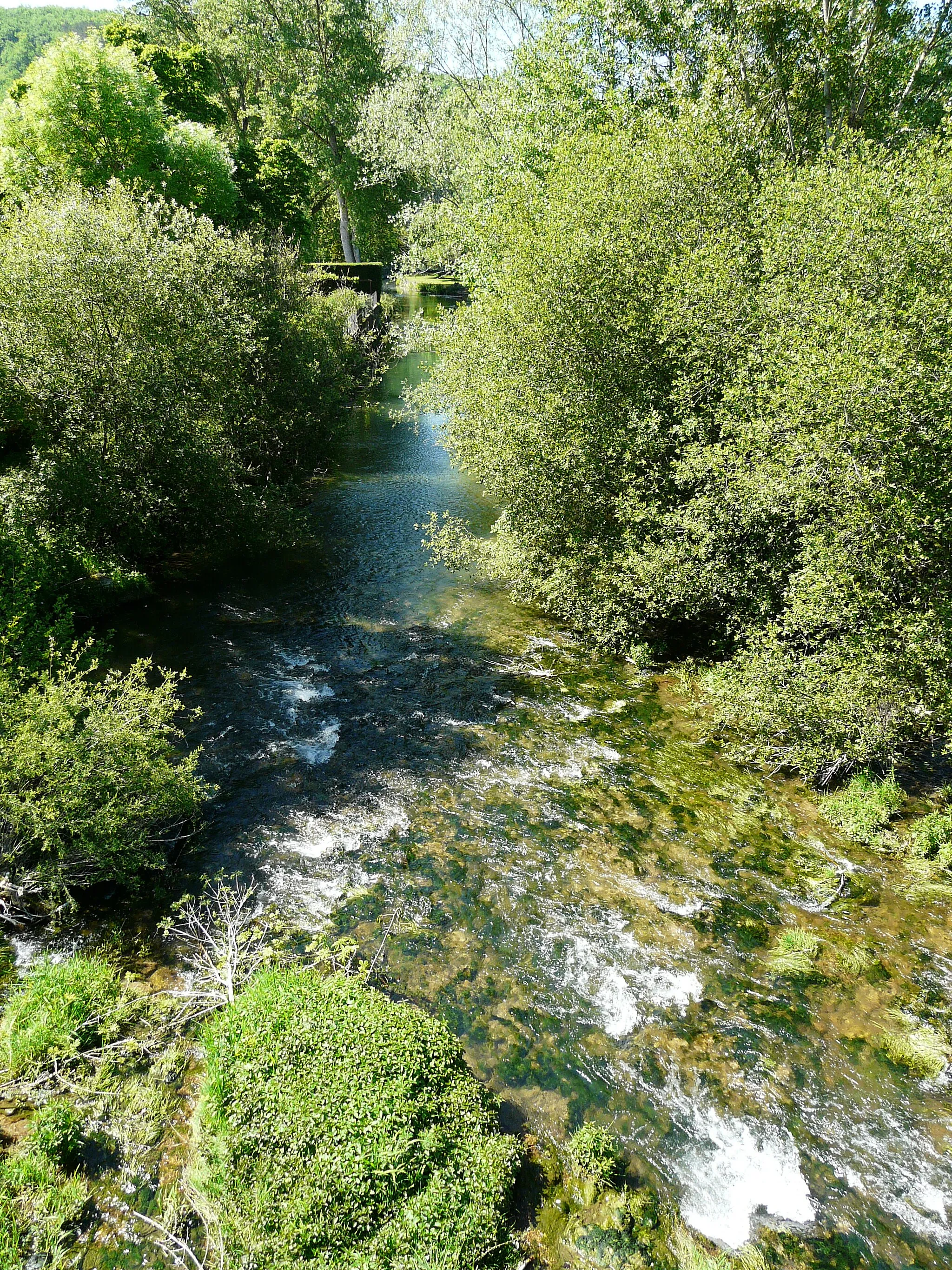 Photo showing: Le Céou en aval du pont de la route départementale 60, Daglan, Dordogne, France.