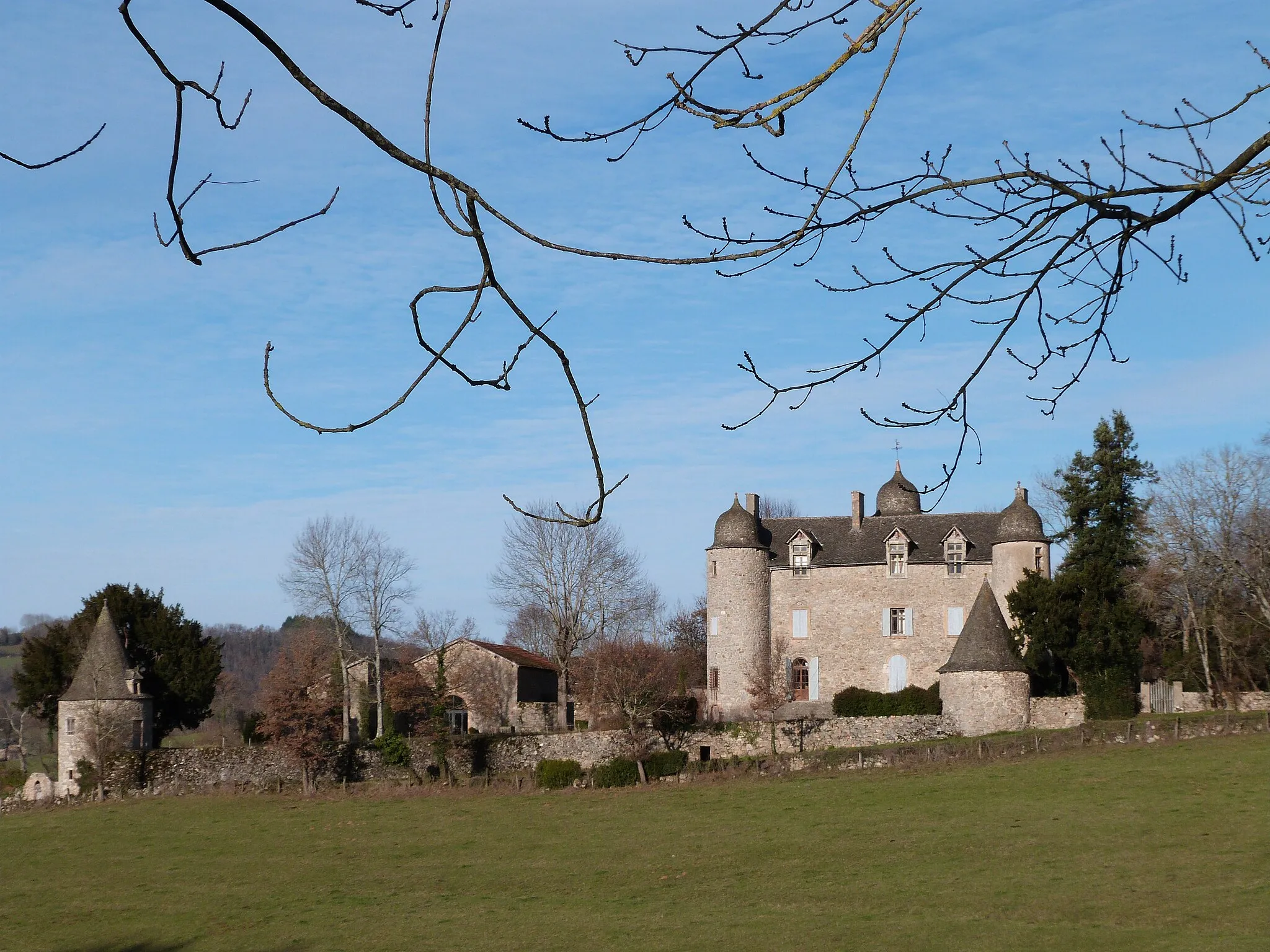 Photo showing: Vue d'ensemble du château de  Réquista à La Bastide-l'Évêque, Aveyron