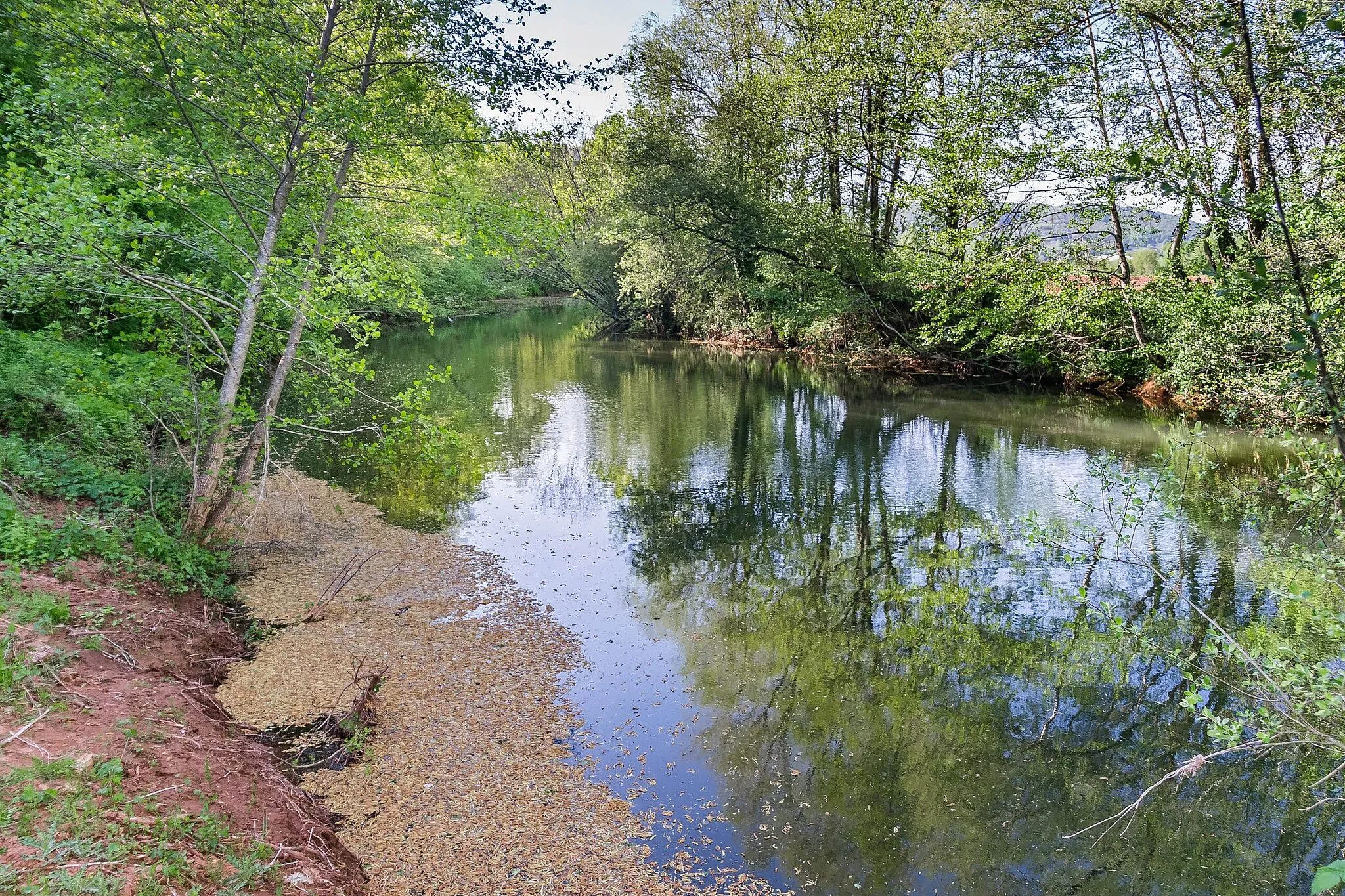 Photo showing: Dourdou River near Nauviale, Aveyron, France