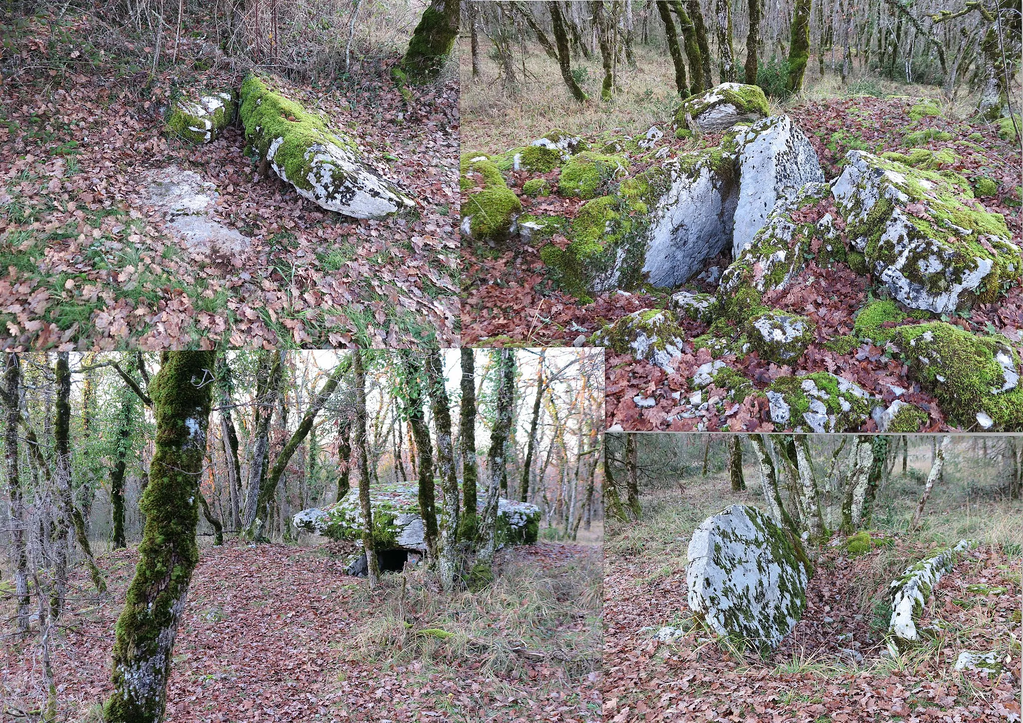 Photo showing: Dolmens ruinés des Places : 4( Haut gauche) ;    3 (Haut droit) ;      1 ( Bas droit) . Beau dolmen complet 2 des Places (BG) .