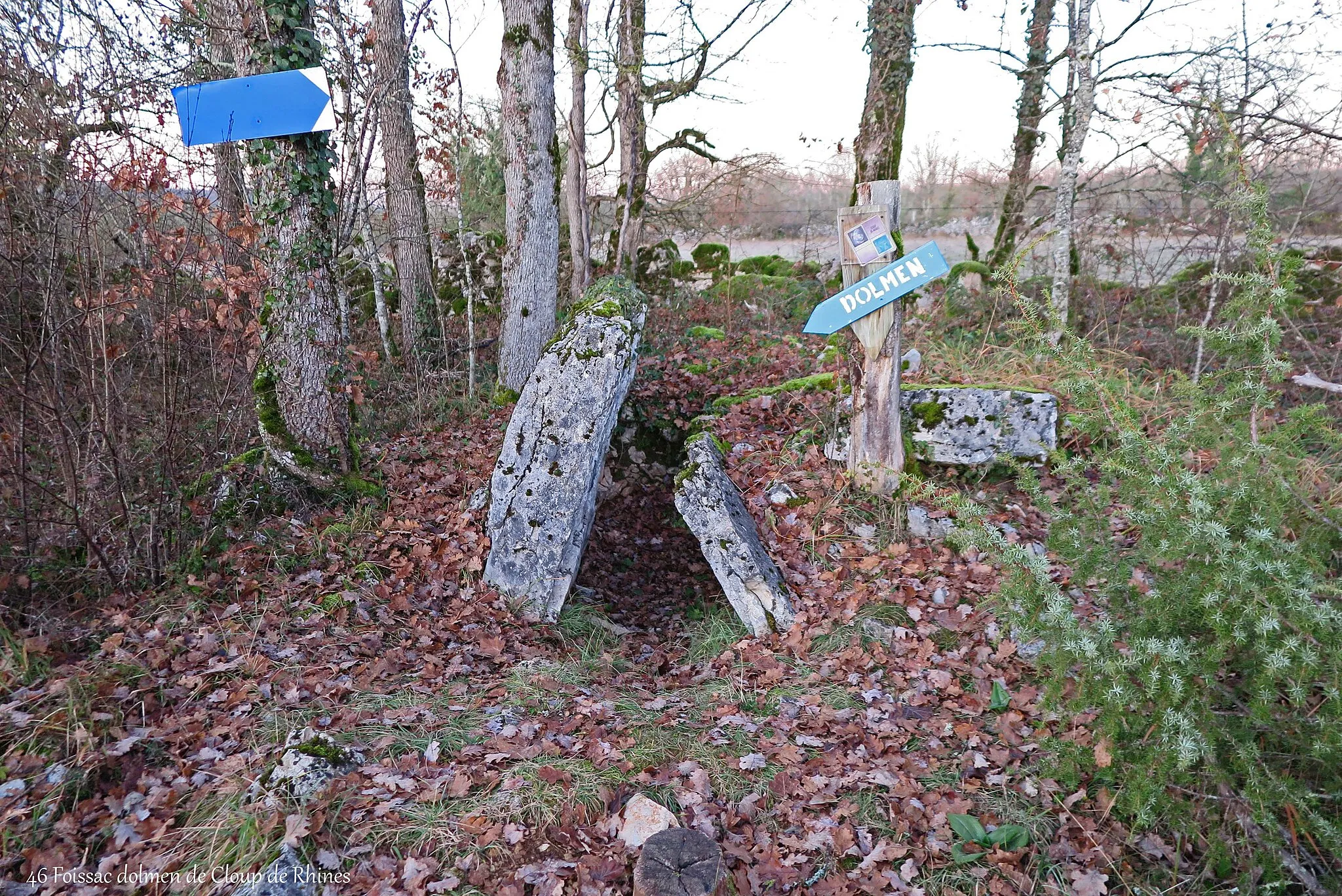 Photo showing: Reste du Dolmen