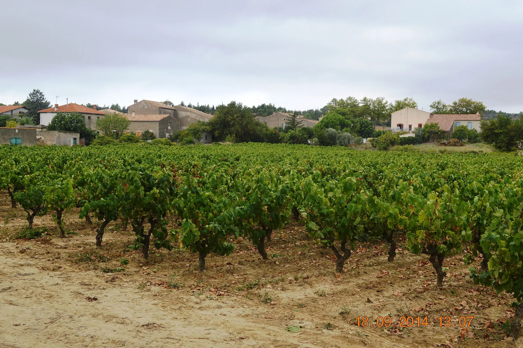 Photo showing: General View of Aigne with Vineyard