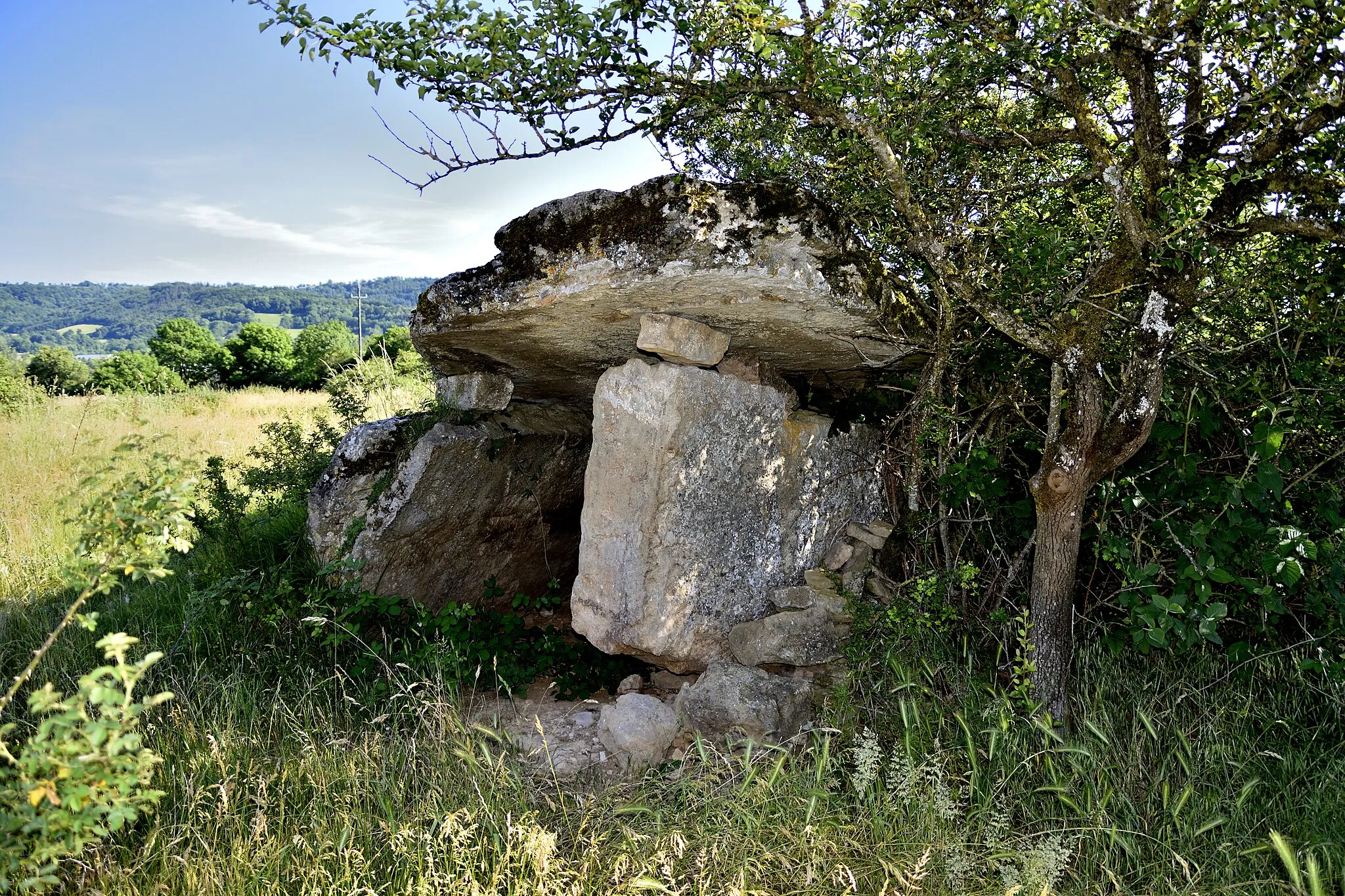 Photo showing: Dolmen d'Agen d'Aveyron
